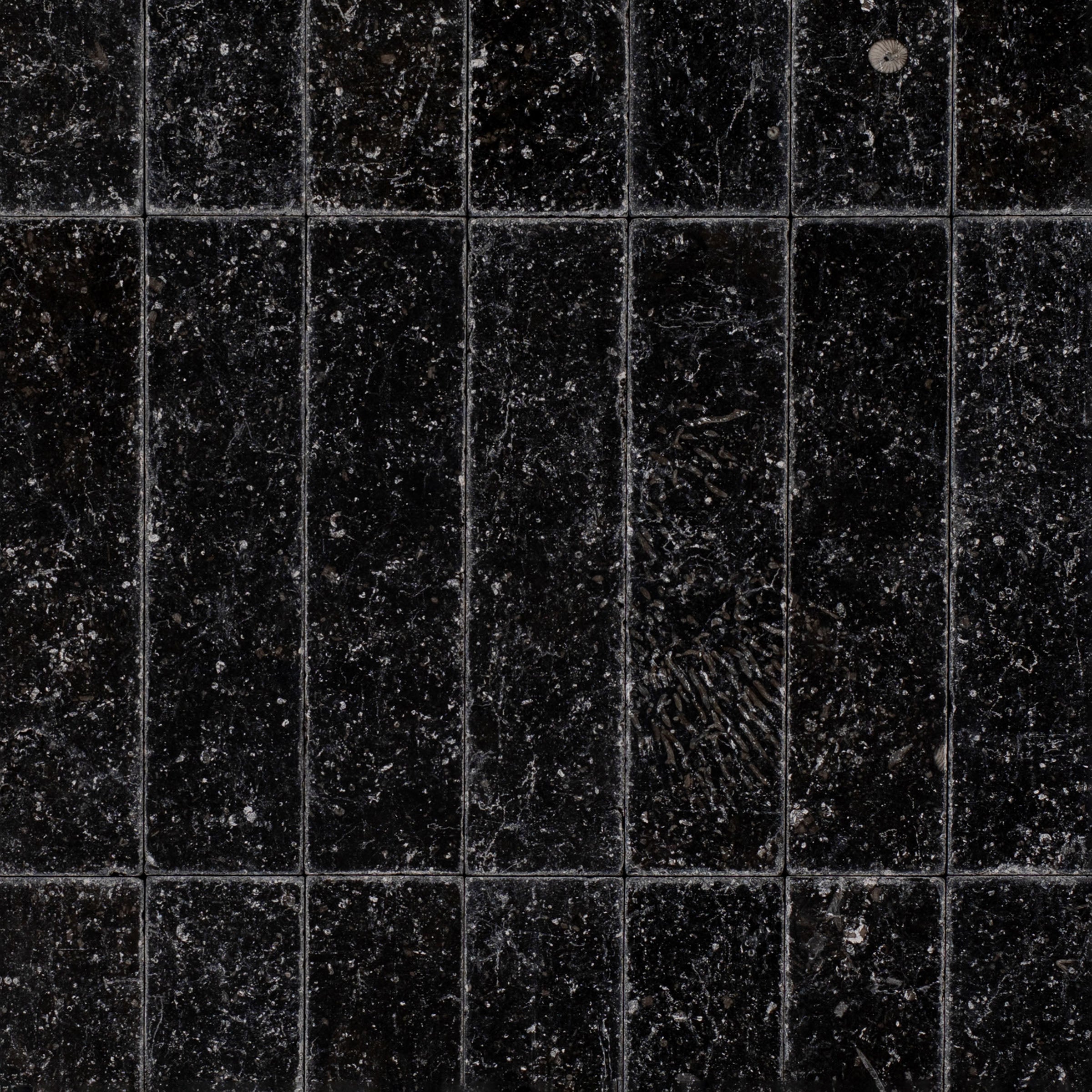 Belgian Blue 2x8 Tumbled Marble Tile in black stone with cool blue undertones from Tumbled Natural Stone Tiles Stone New Arrivals