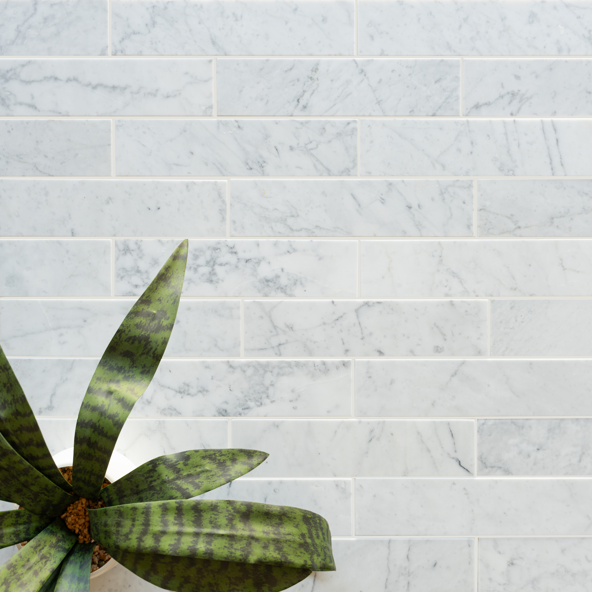 Light gray marble subway tiles arranged in a staggered pattern with a green leafy plant in the corner