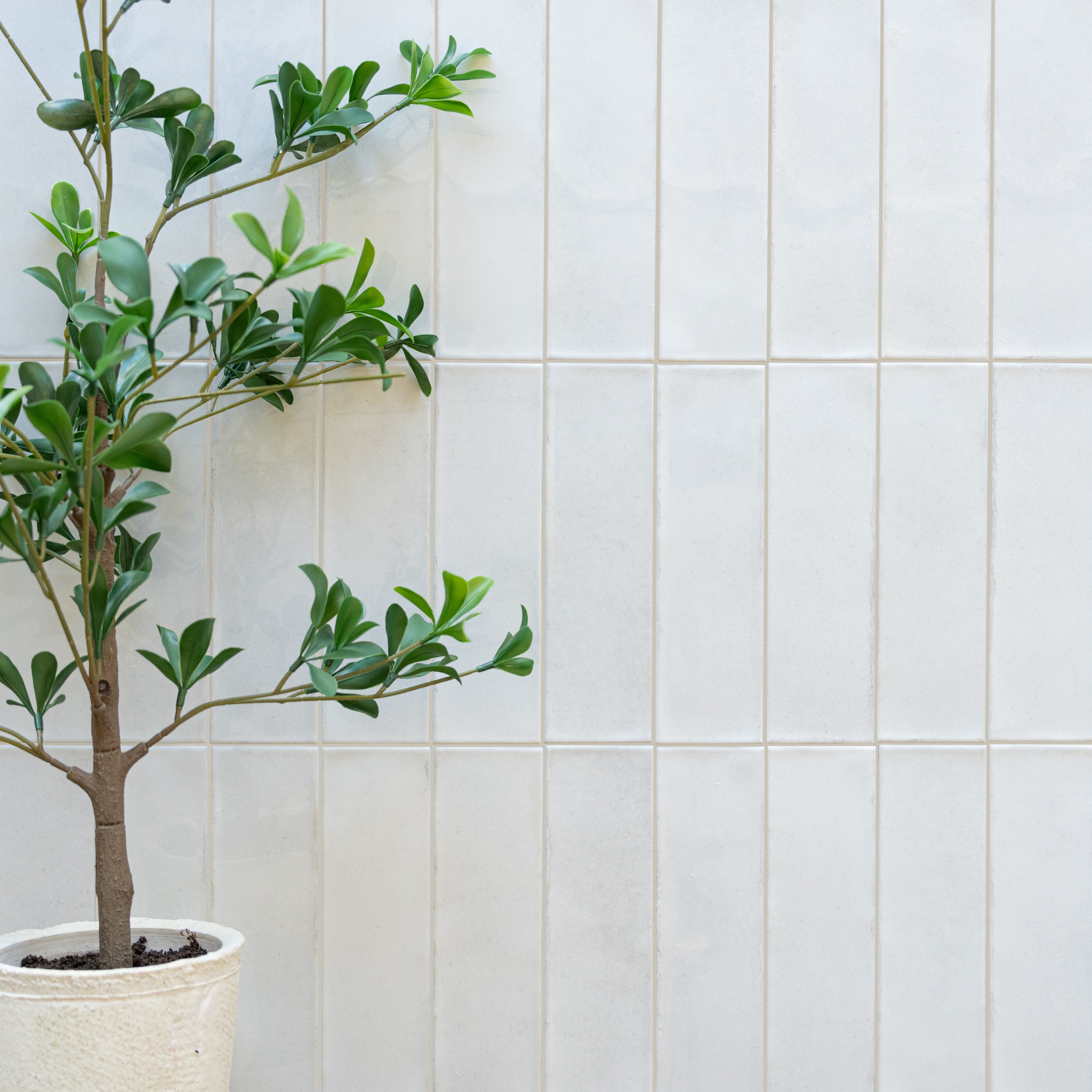 Potted green leafy plant beside tall, rectangular cream ceramic tiles with subtle texture on a light wall