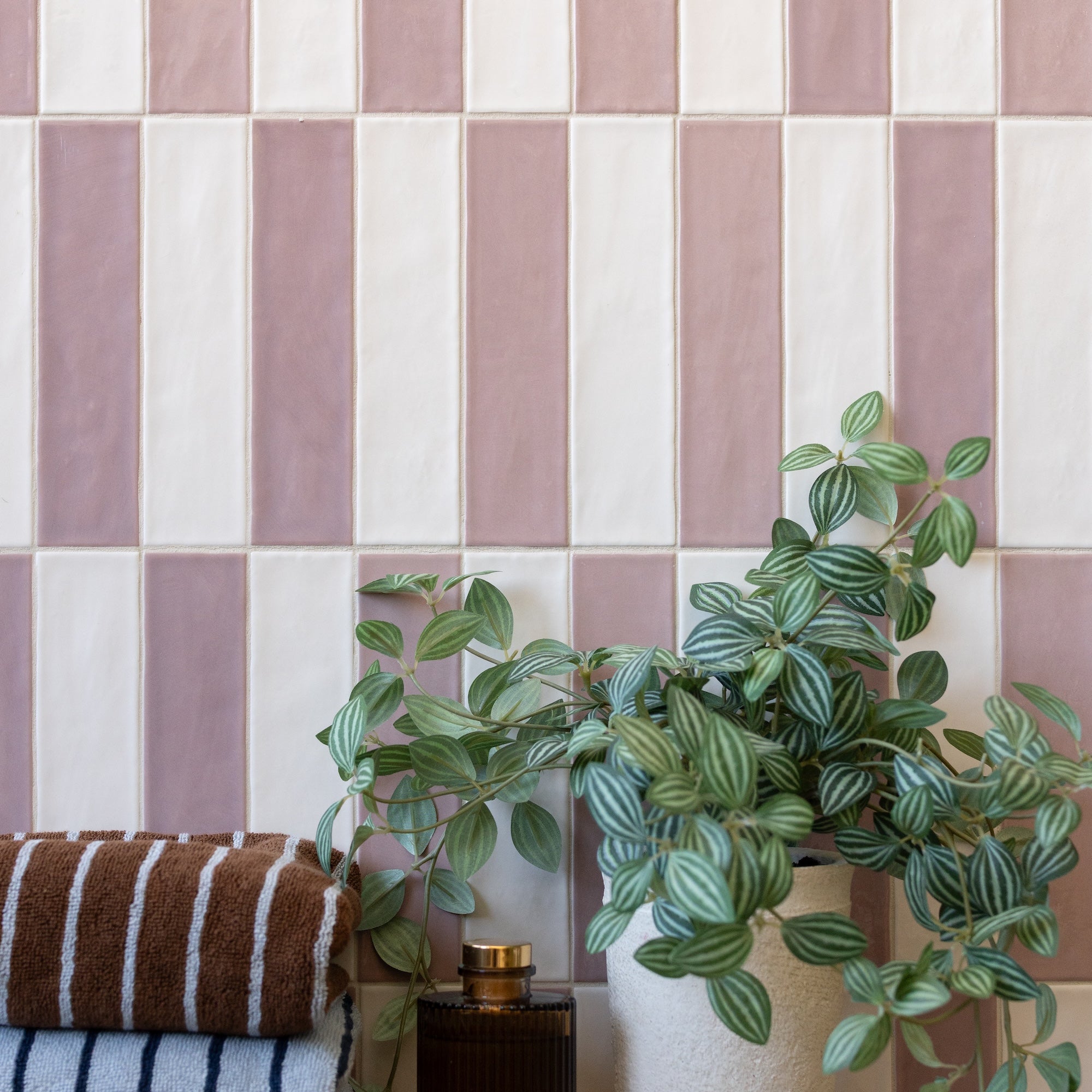 Pink and white tiled wall with a leafy houseplant and striped towels