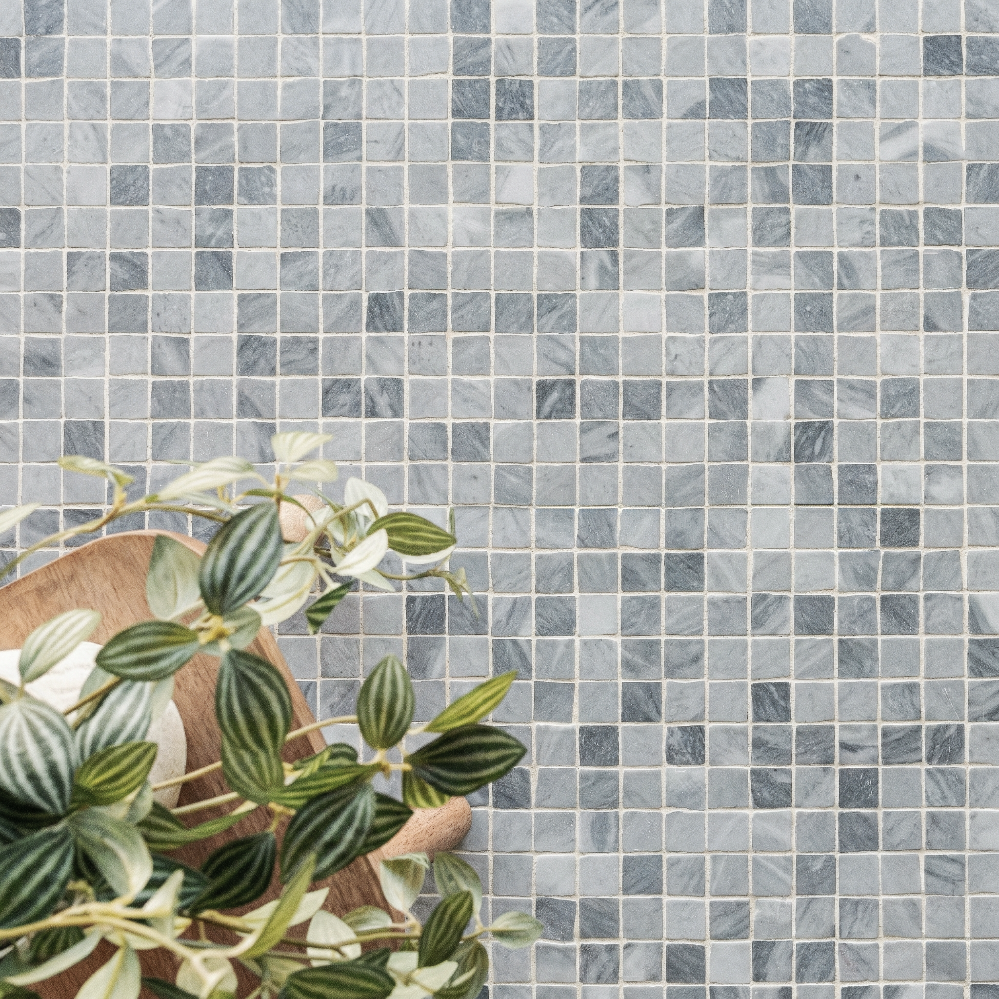 Square mosaic ceramic tiles in varied gray shades with a matte finish beside green leafy plant and wooden bowl