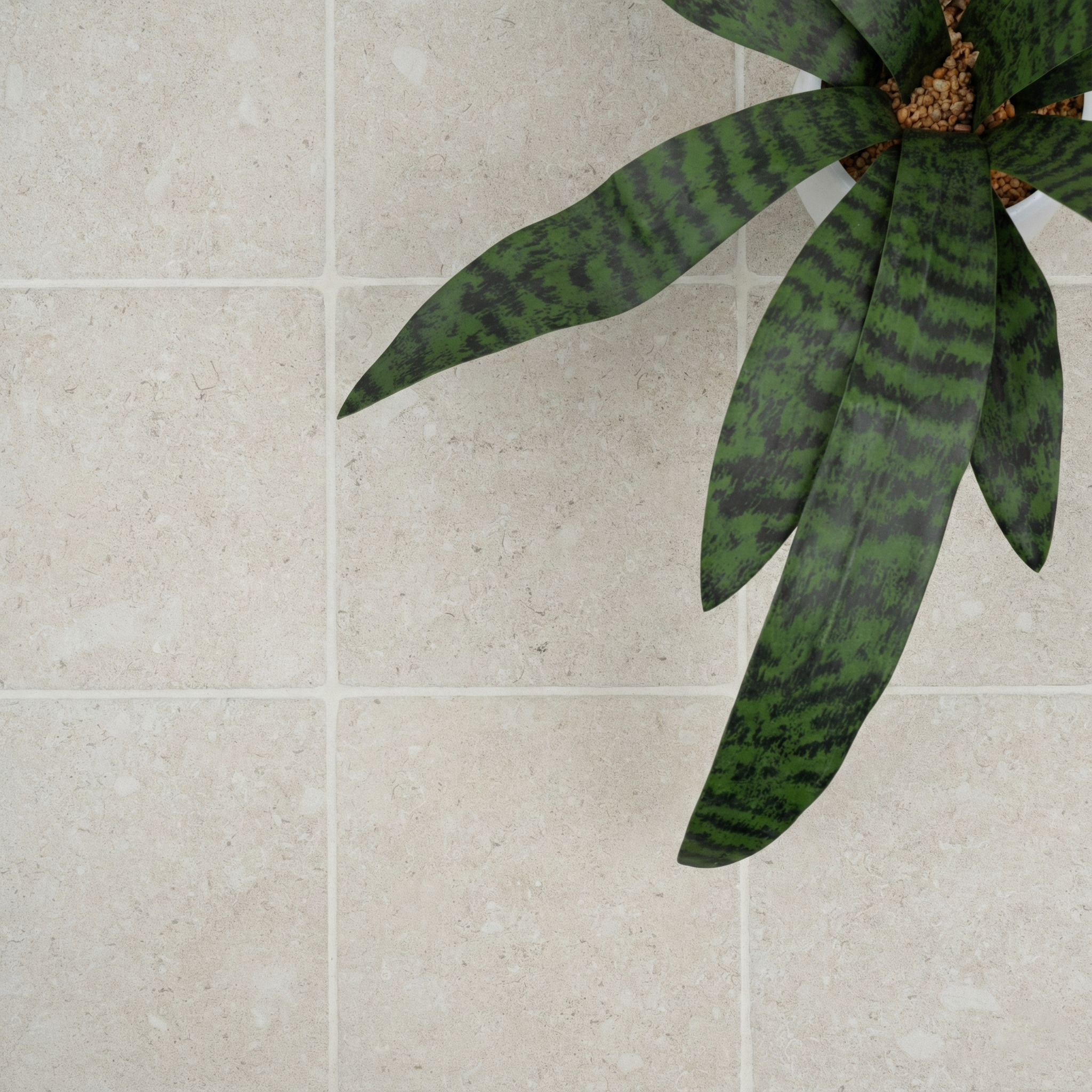 Top-down view of light beige ceramic tiles with subtle natural texture and a green leafy plant on the corner