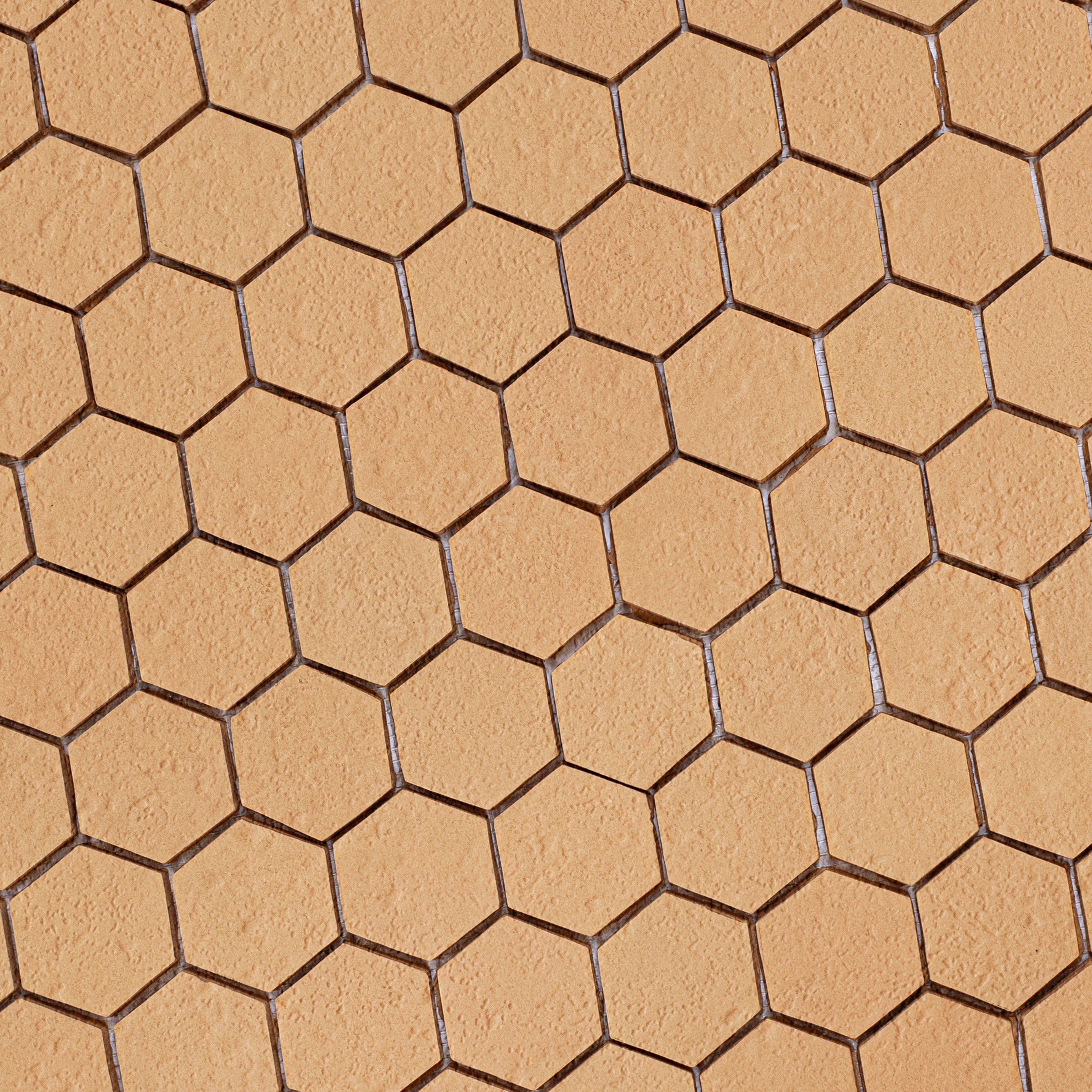 Natural 2" Hexagon Textured Terracotta Mosaic in beige terracotta from Cotto Colors Terracotta Tile and New Arrivals collections