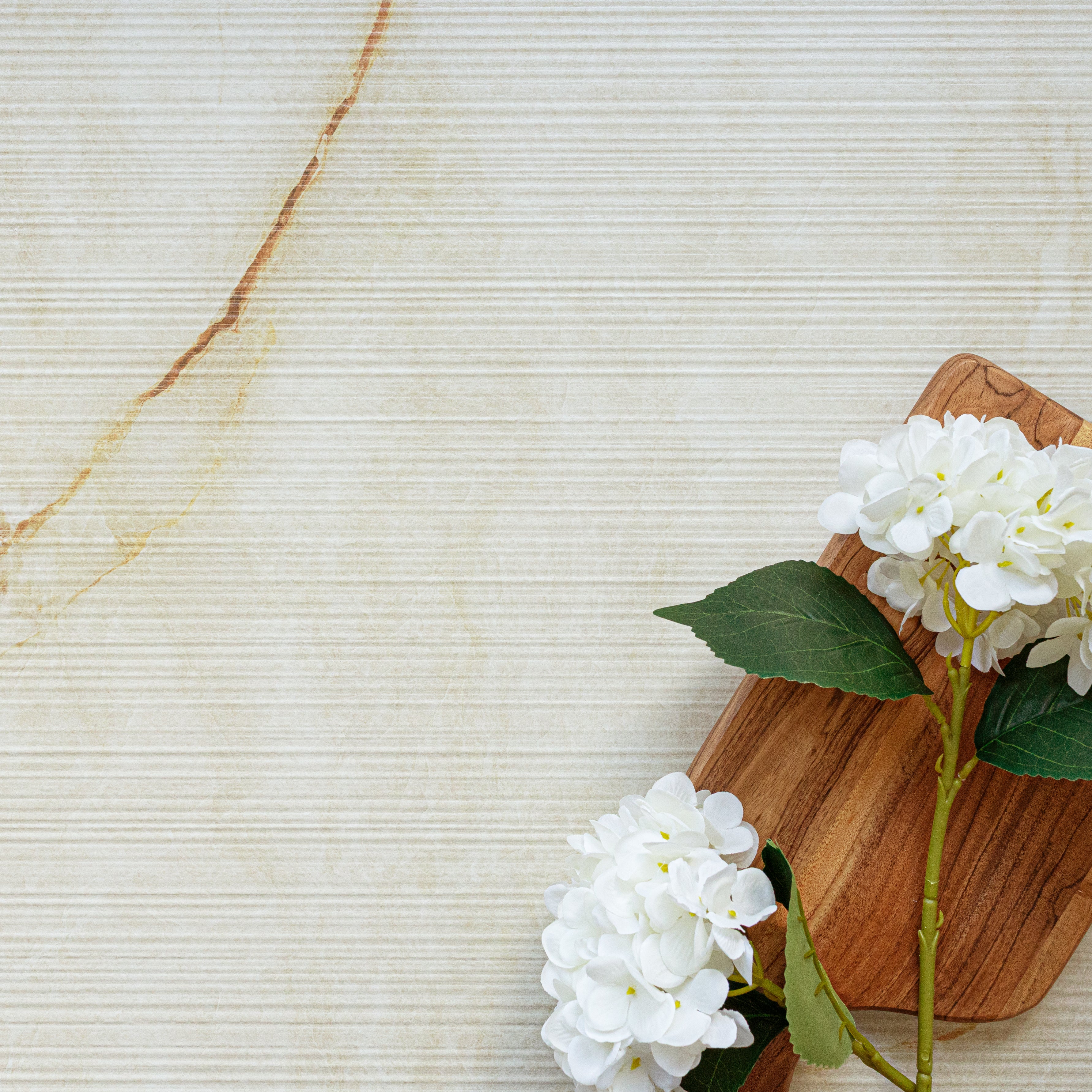 Cream porcelain tile surface with soft linear texture and warm veining beside white hydrangea blooms on wooden board