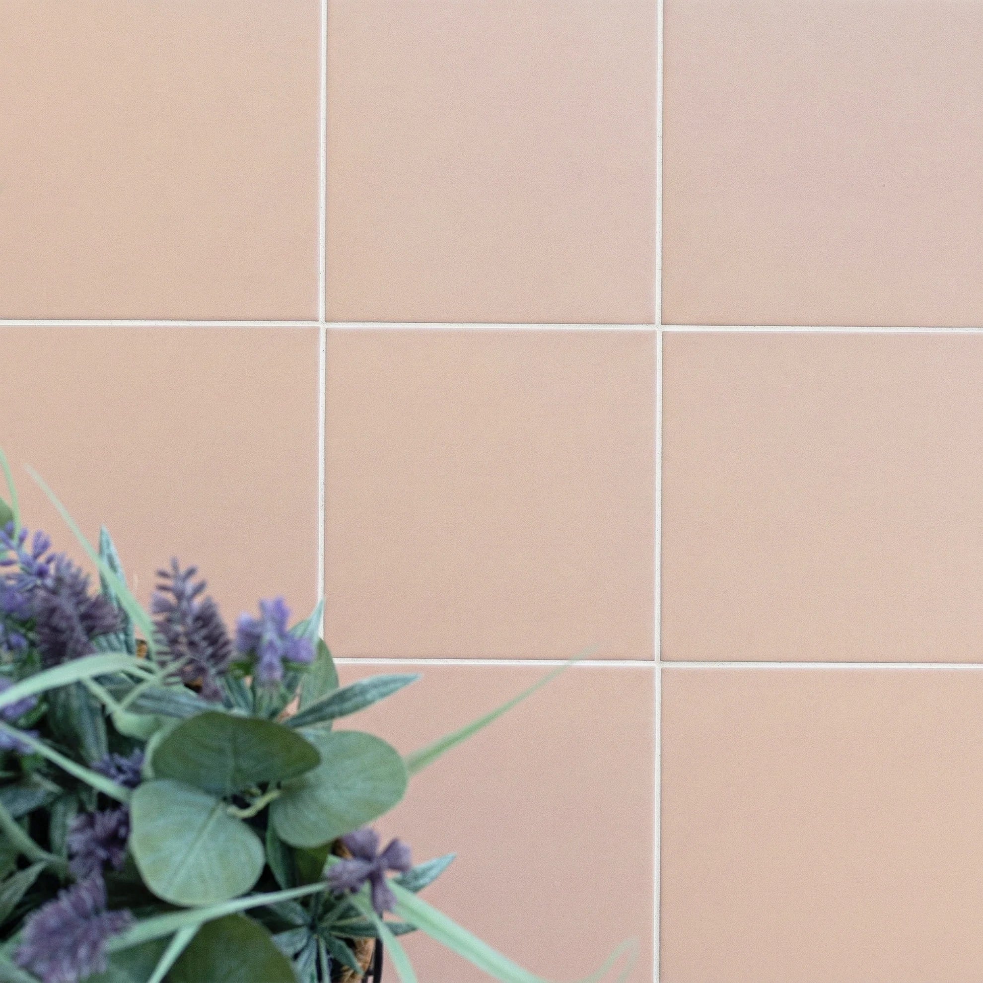 Smooth matte pale pink porcelain tiles arranged in a grid with a green leafy plant partially visible in the corner