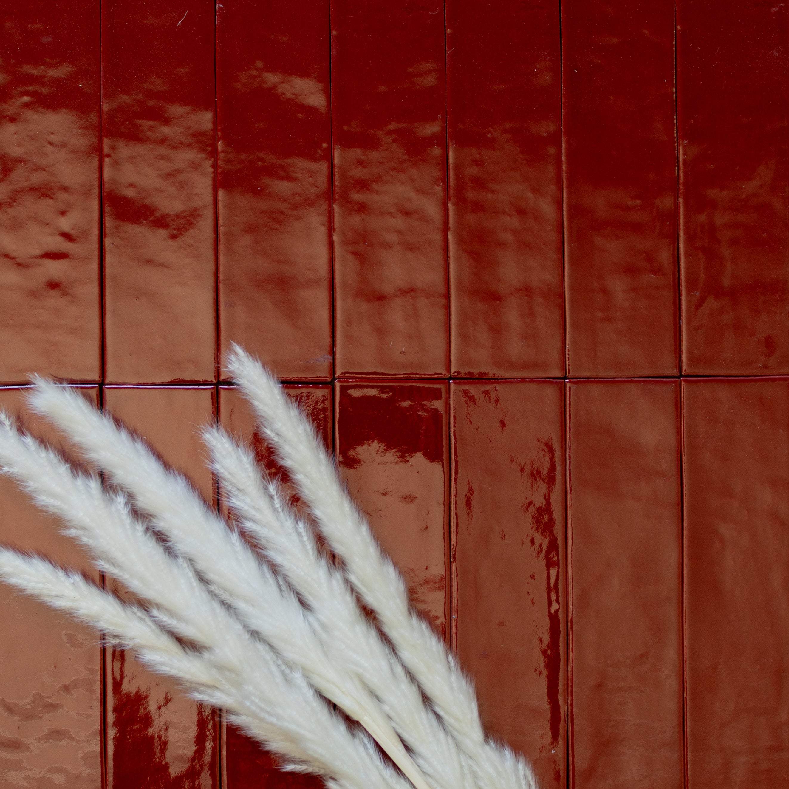 Glossy deep ruby red ceramic tiles with irregular surface texture and soft white pampas grass accents in corner
