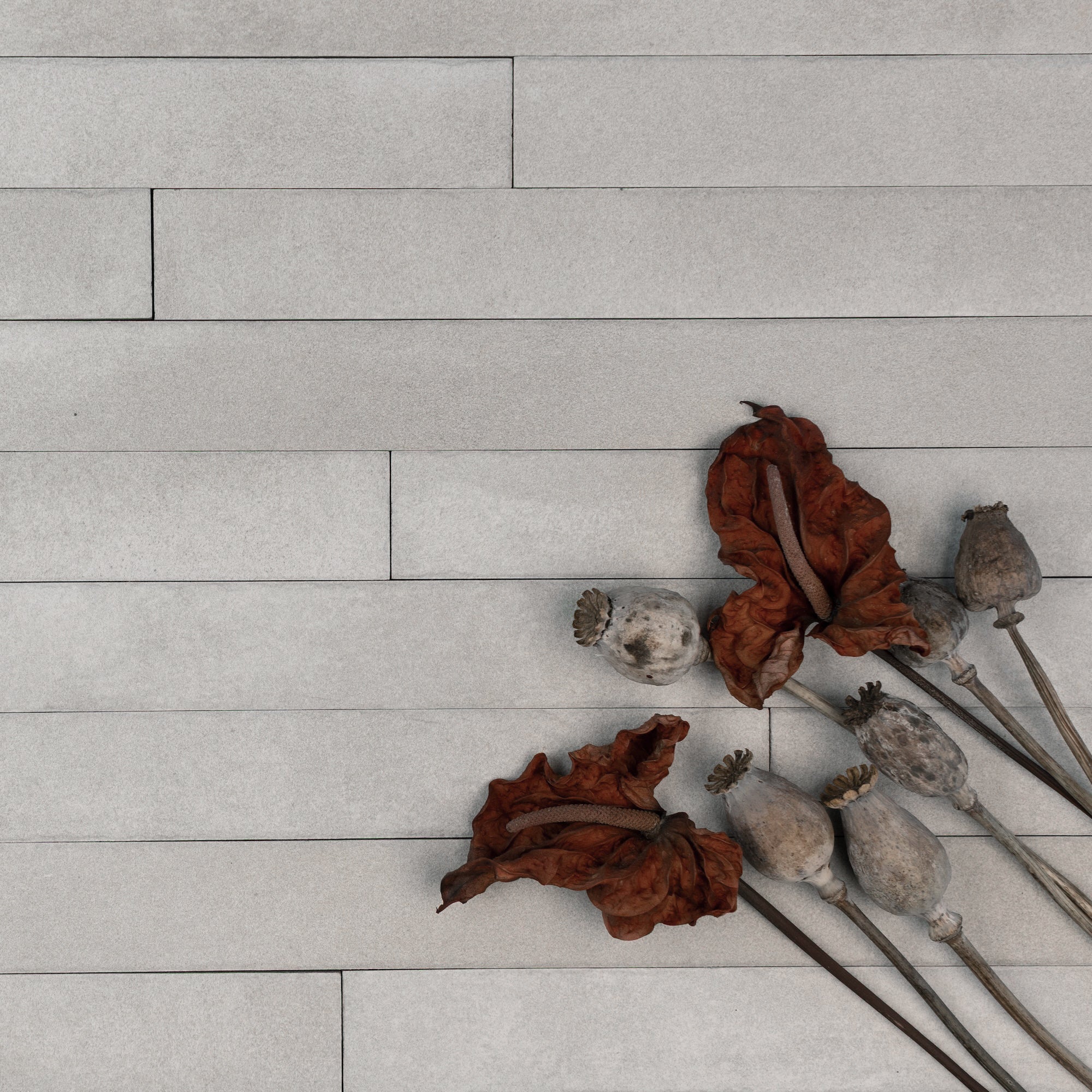 Matte light gray ceramic tiles arranged horizontally with dried brown poppy pods and curled leaves on the surface