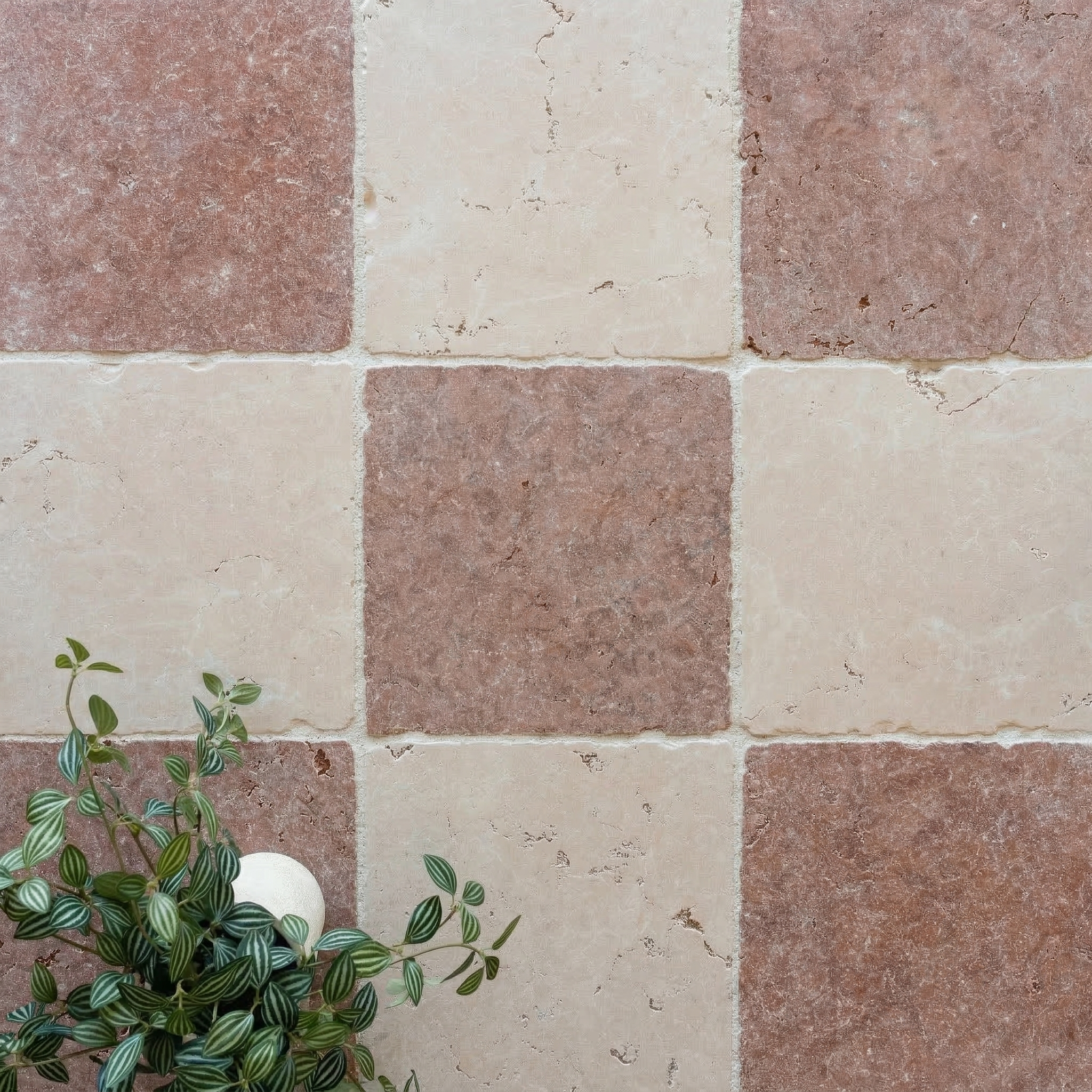 Checkerboard pattern tile flooring in soft beige and warm terracotta tones with a small green plant accent