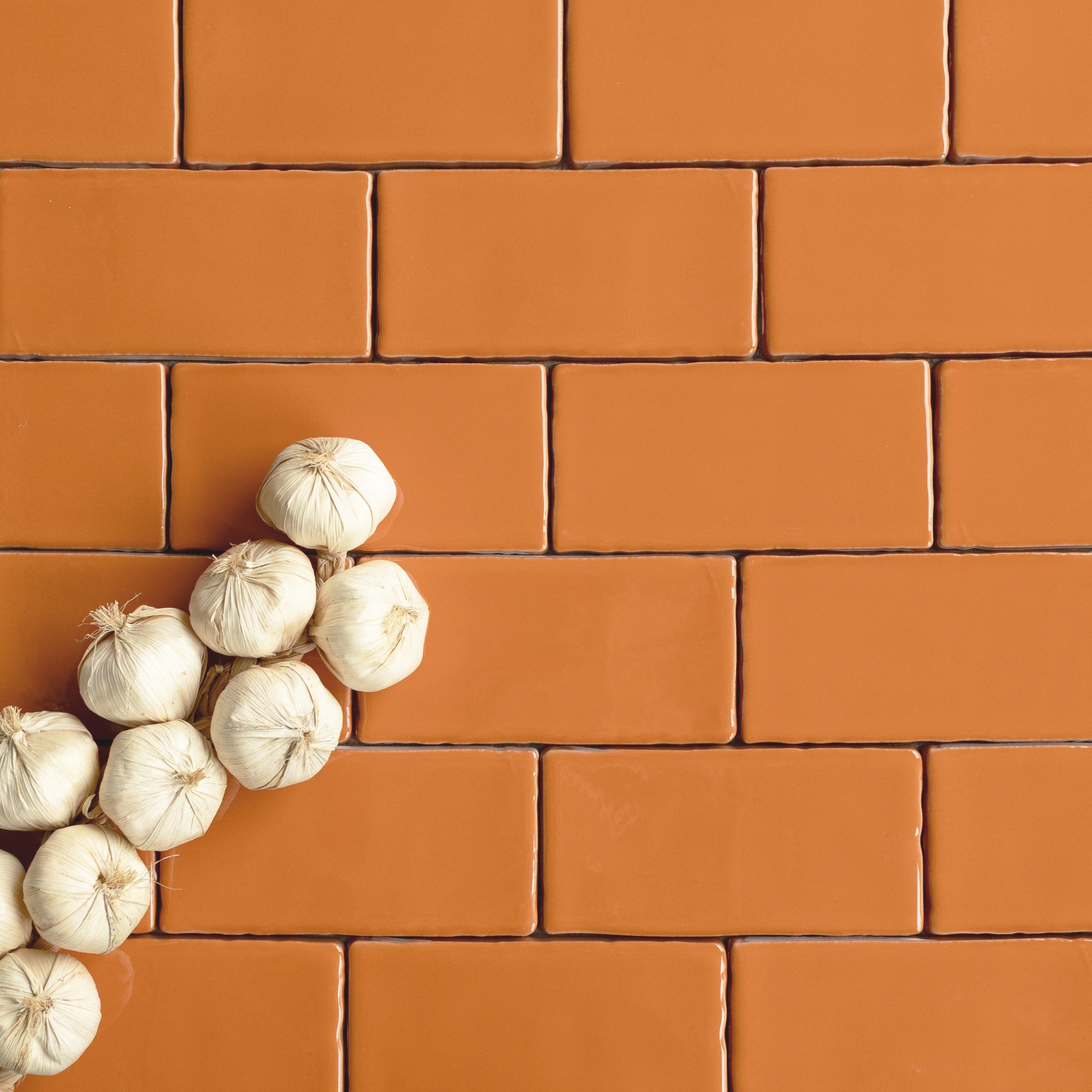 Glossy terracotta ceramic tiles with subtle texture arranged in offset pattern beside a cluster of garlic bulbs