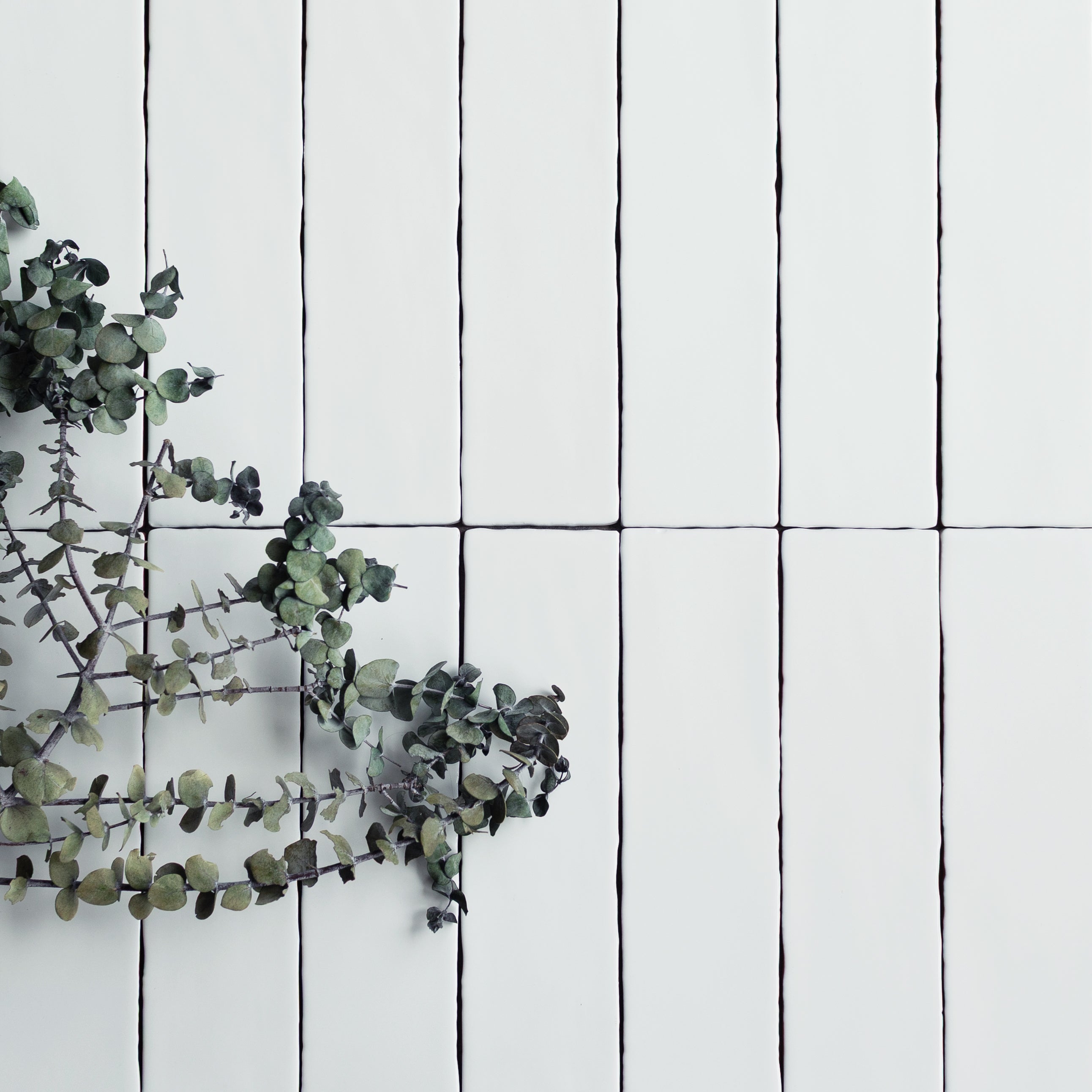 Soft white ceramic tiles in a vertical layout with dark grout lines and eucalyptus branches on the side