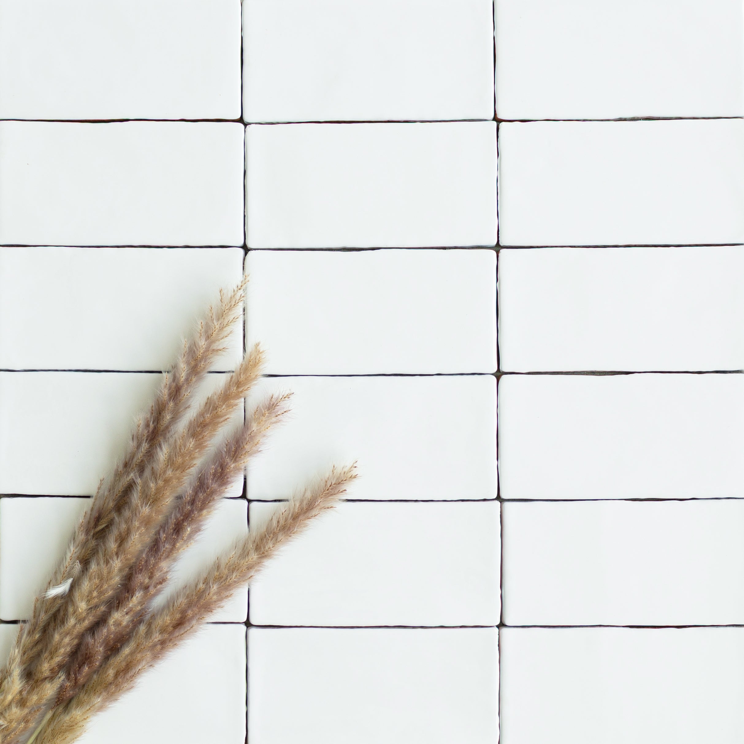 Off-white ceramic tiles with irregular edges arranged in a grid alongside dried beige grass on a white surface
