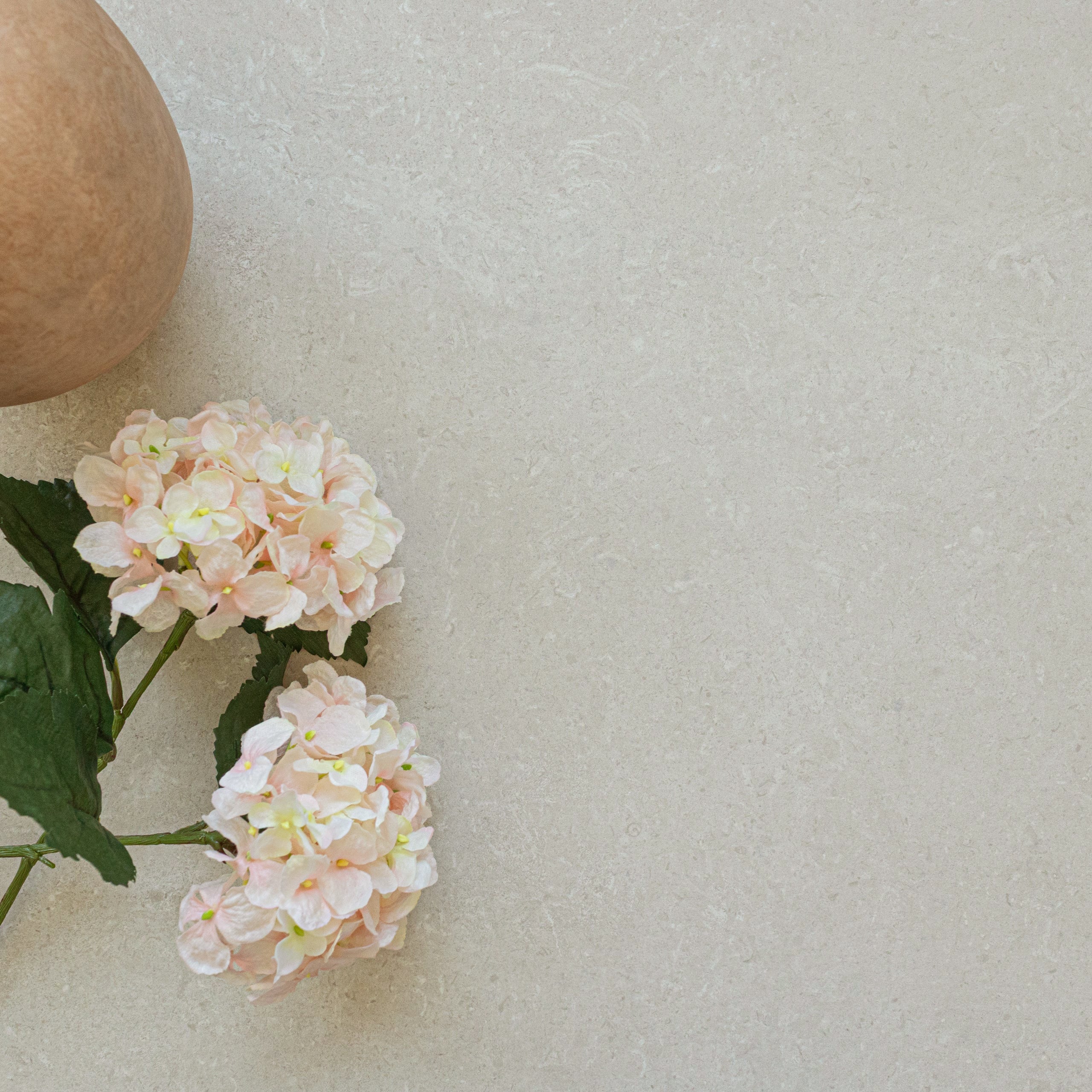 Creamy limestone-look porcelain tile with delicate natural veining and matte finish beside pale pink hydrangea blooms