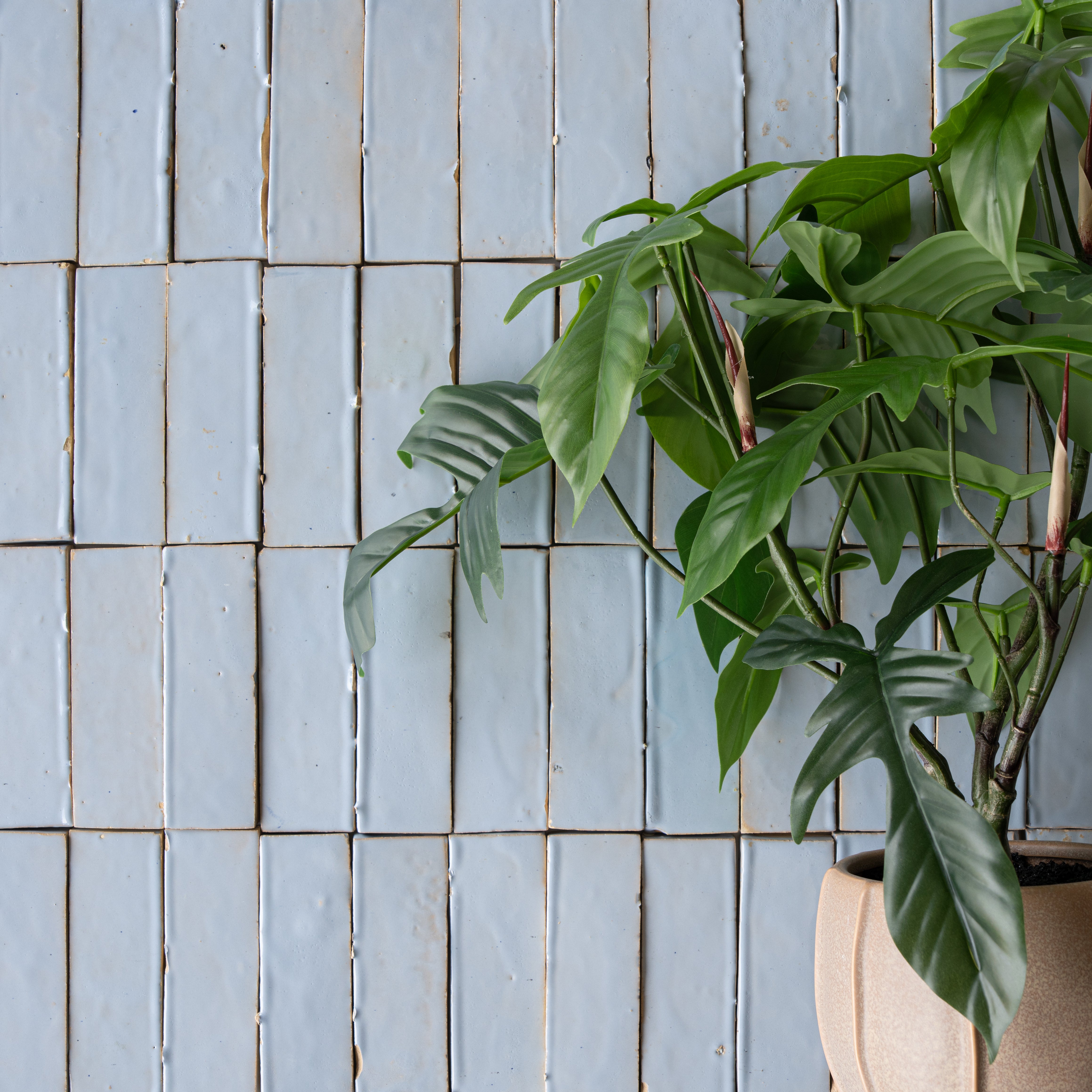 Soft pale blue ceramic zellige tiles with subtle uneven texture next to a beige pot holding green leafy plants