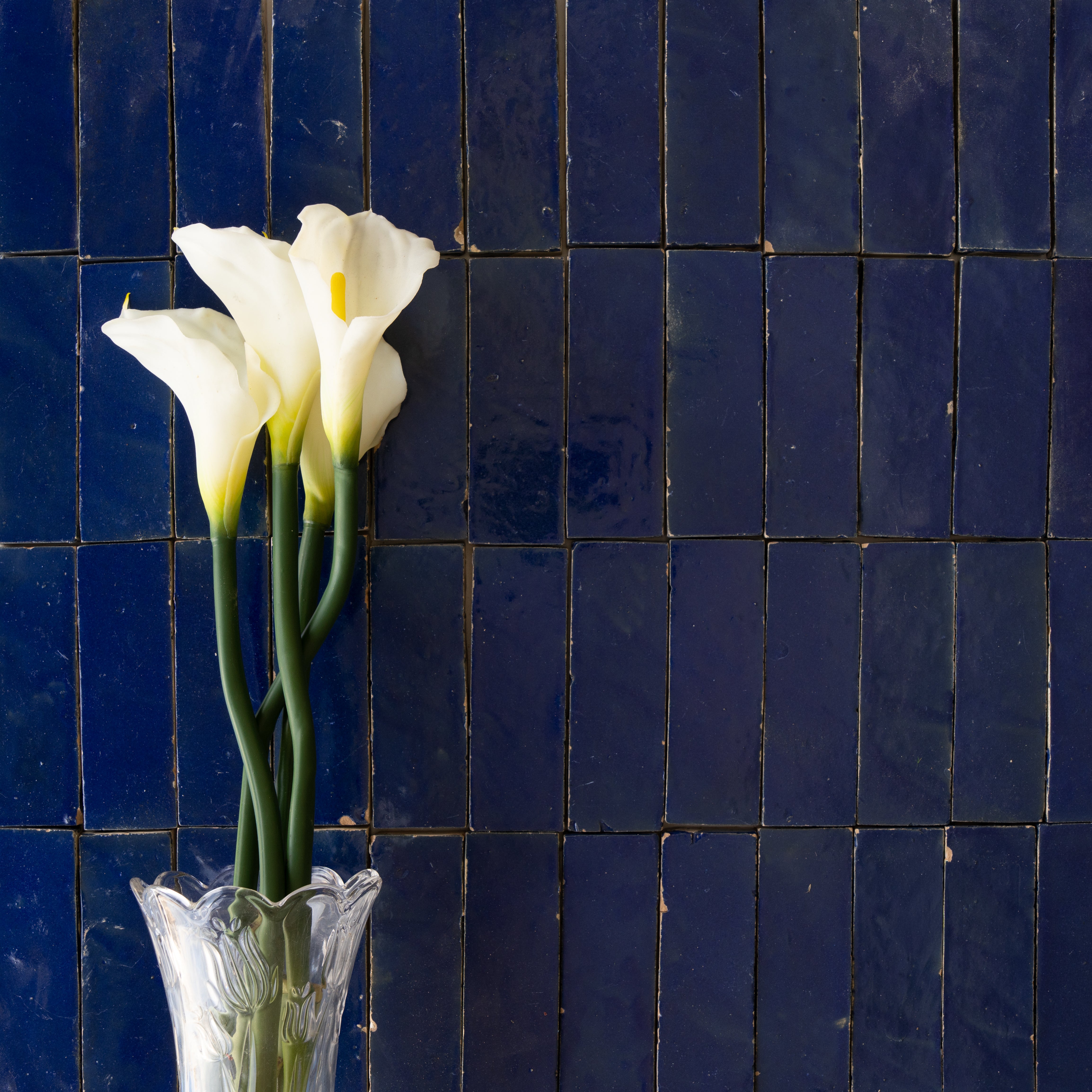 Glossy navy blue ceramic zellige tiles with a slightly irregular finish alongside a clear vase holding white calla lilies