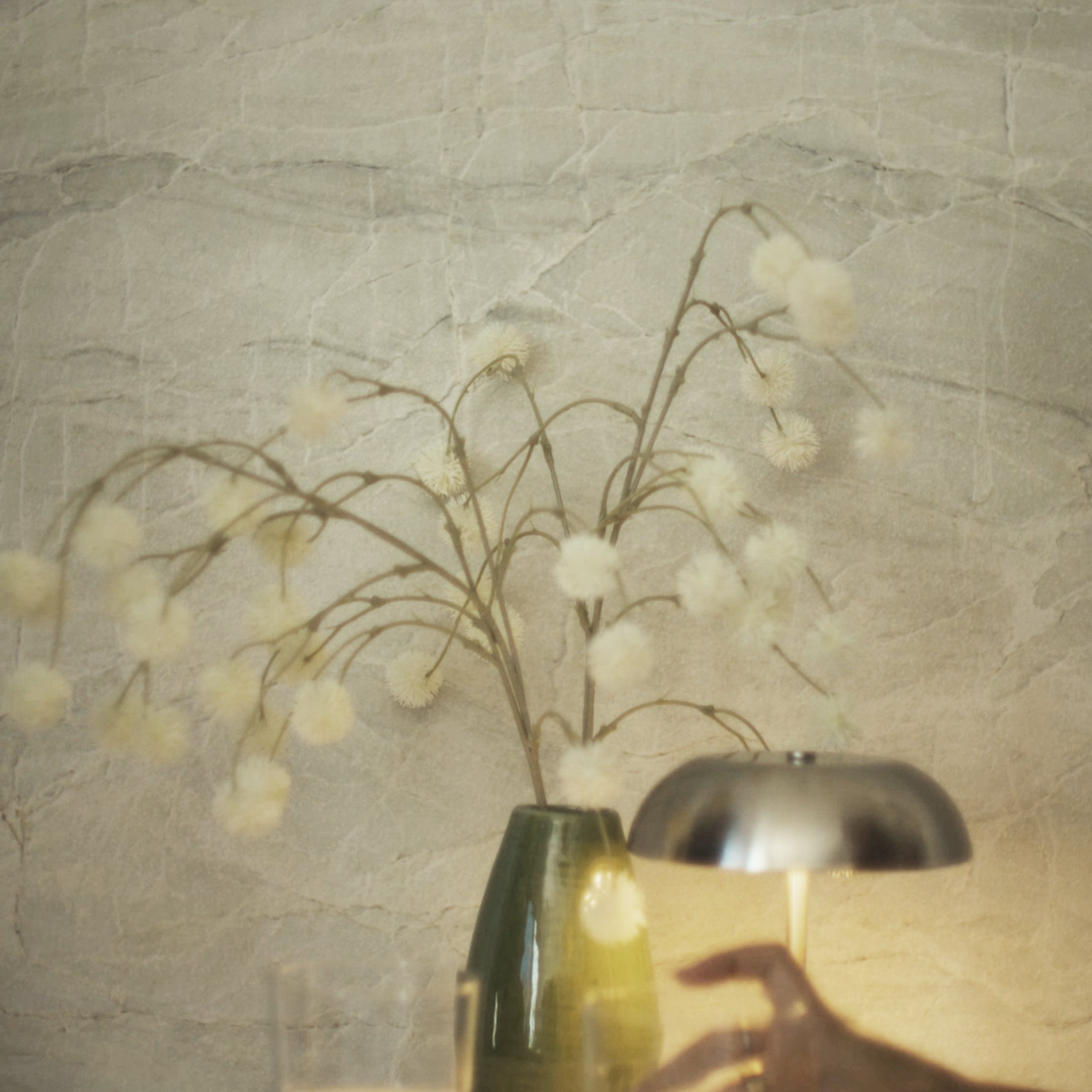 Softly lit green ceramic vase holding delicate cotton stems against a textured beige natural stone wall background