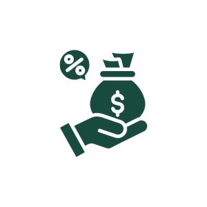 Hand holding a money bag with a dollar sign and credit cards icon