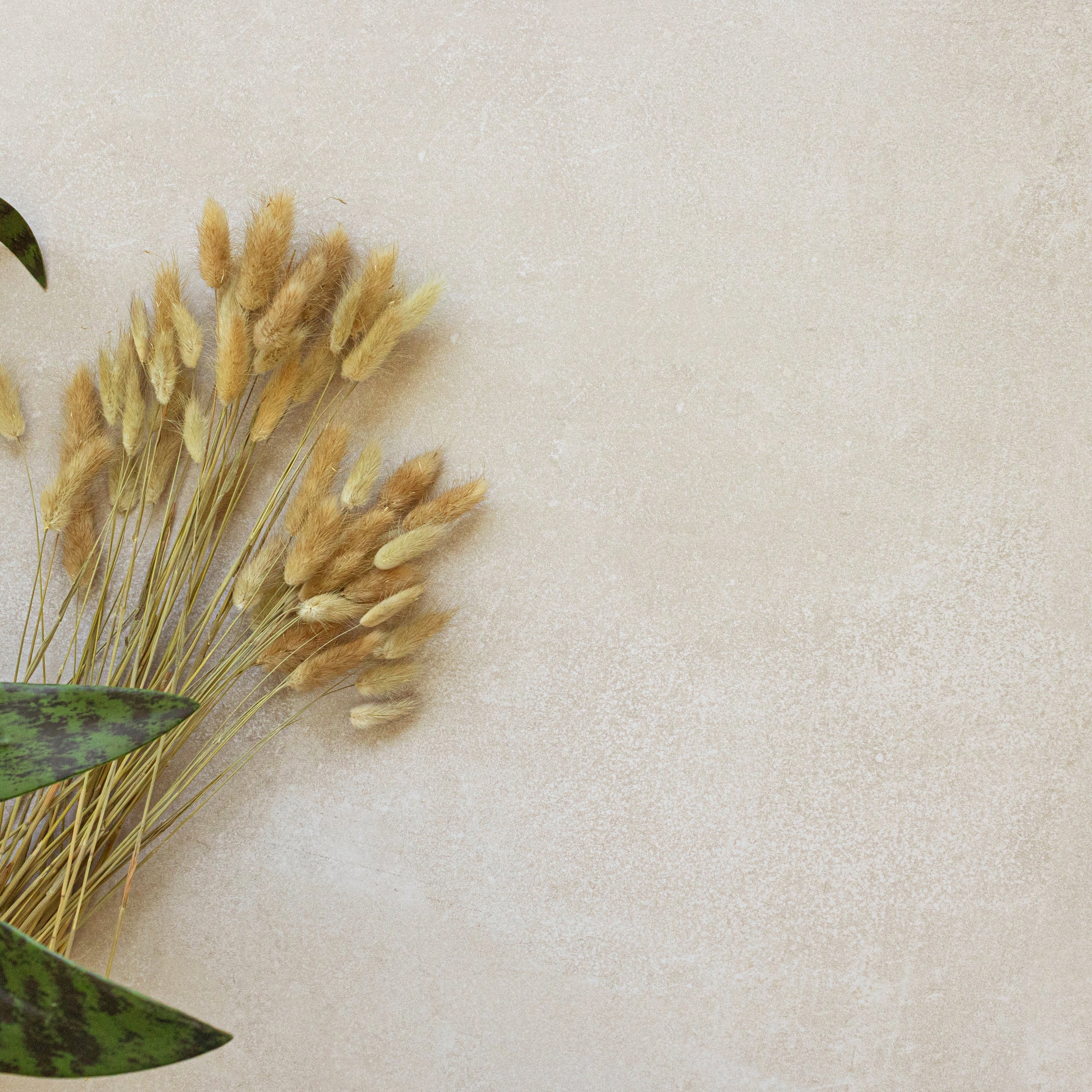 Neutral-toned textured surface with dried grasses and green leaves arranged in the corner for a natural look
