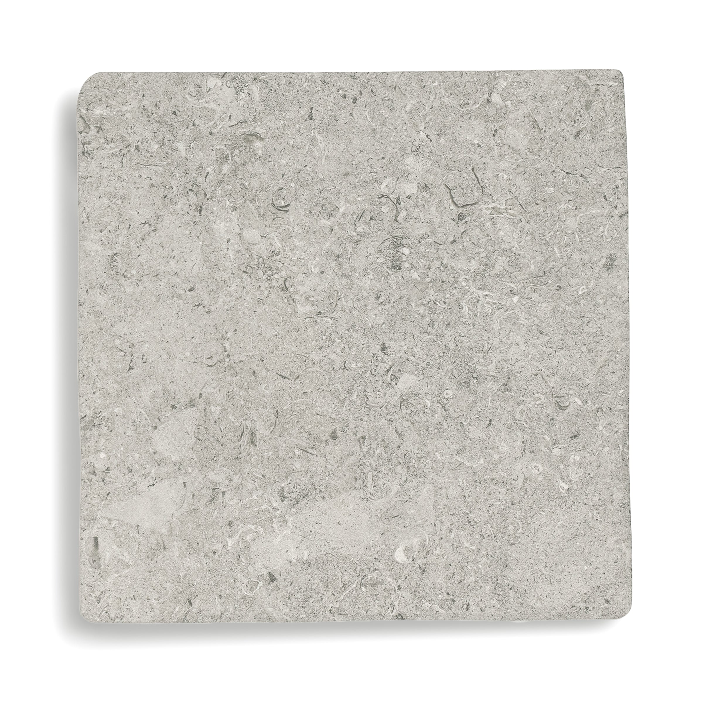 Square matte porcelain tile in a soft grey tone with natural stone-like texture and subtle fossil patterns