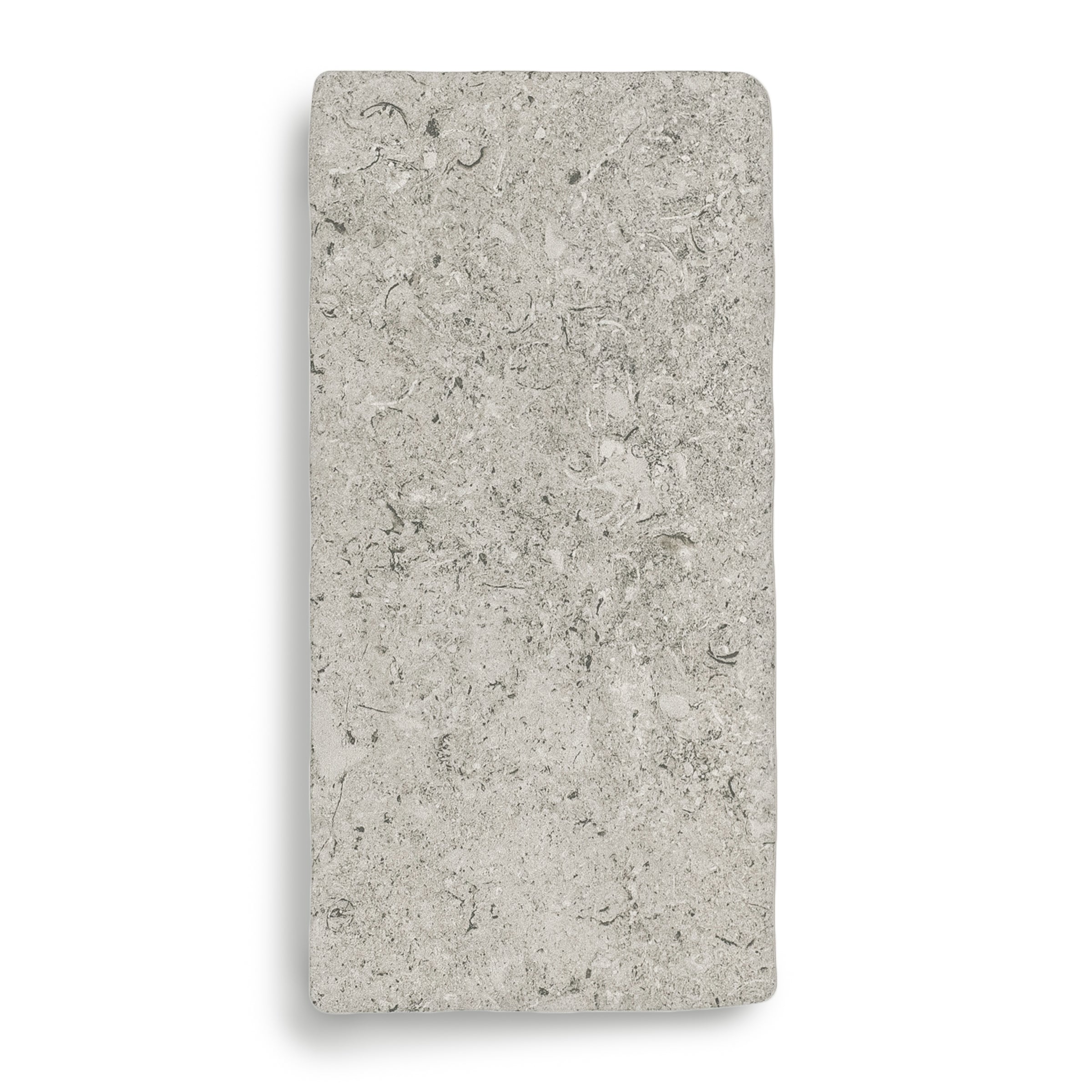 Rectangular matte porcelain tile in a soft grey tone featuring subtle fossil and stone-like textures