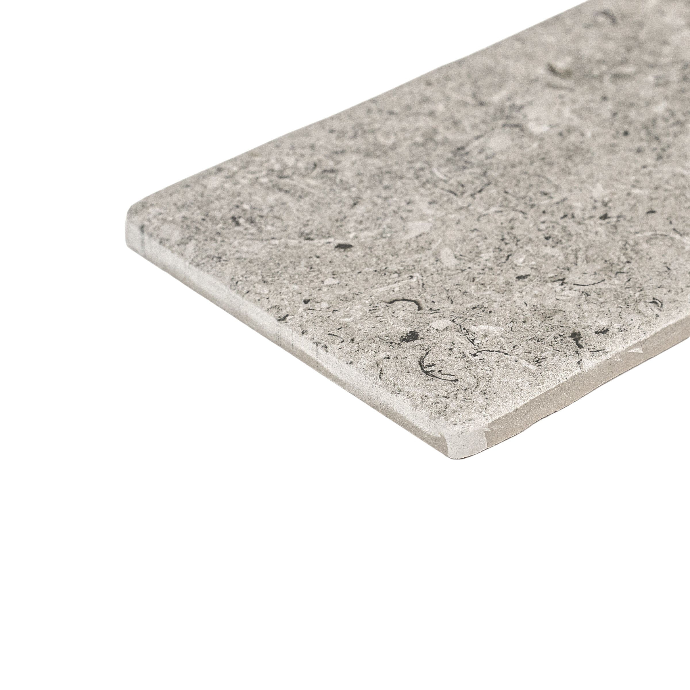 Rectangular matte grey porcelain tile with natural stone texture and subtle fossil details on a white background