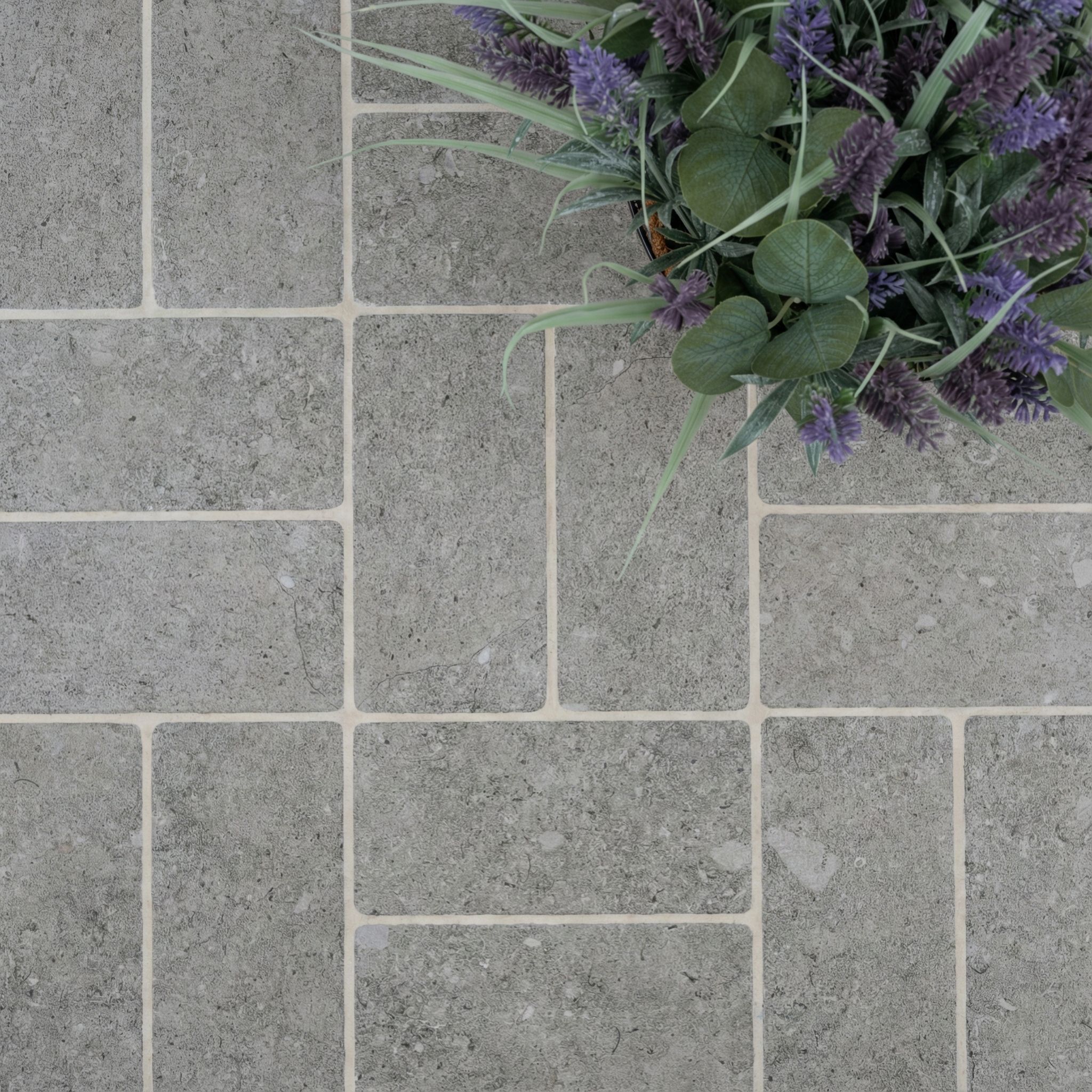 Top-down view of ash gray rectangular ceramic tiles with natural stone texture and green leafy plant on the corner