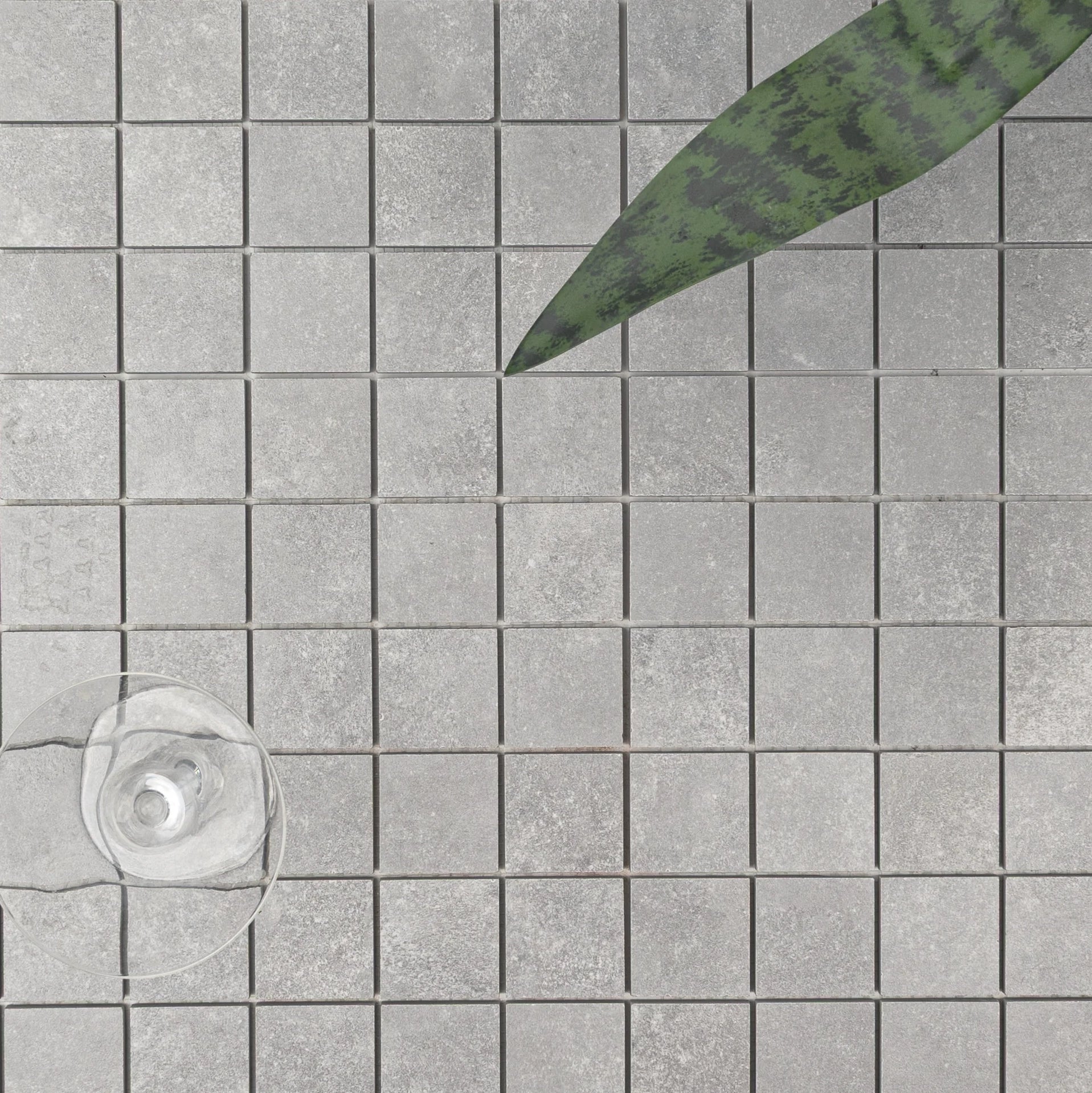 Top-down view of small square cement-inspired porcelain tiles with a leafy plant and water glass placed on them