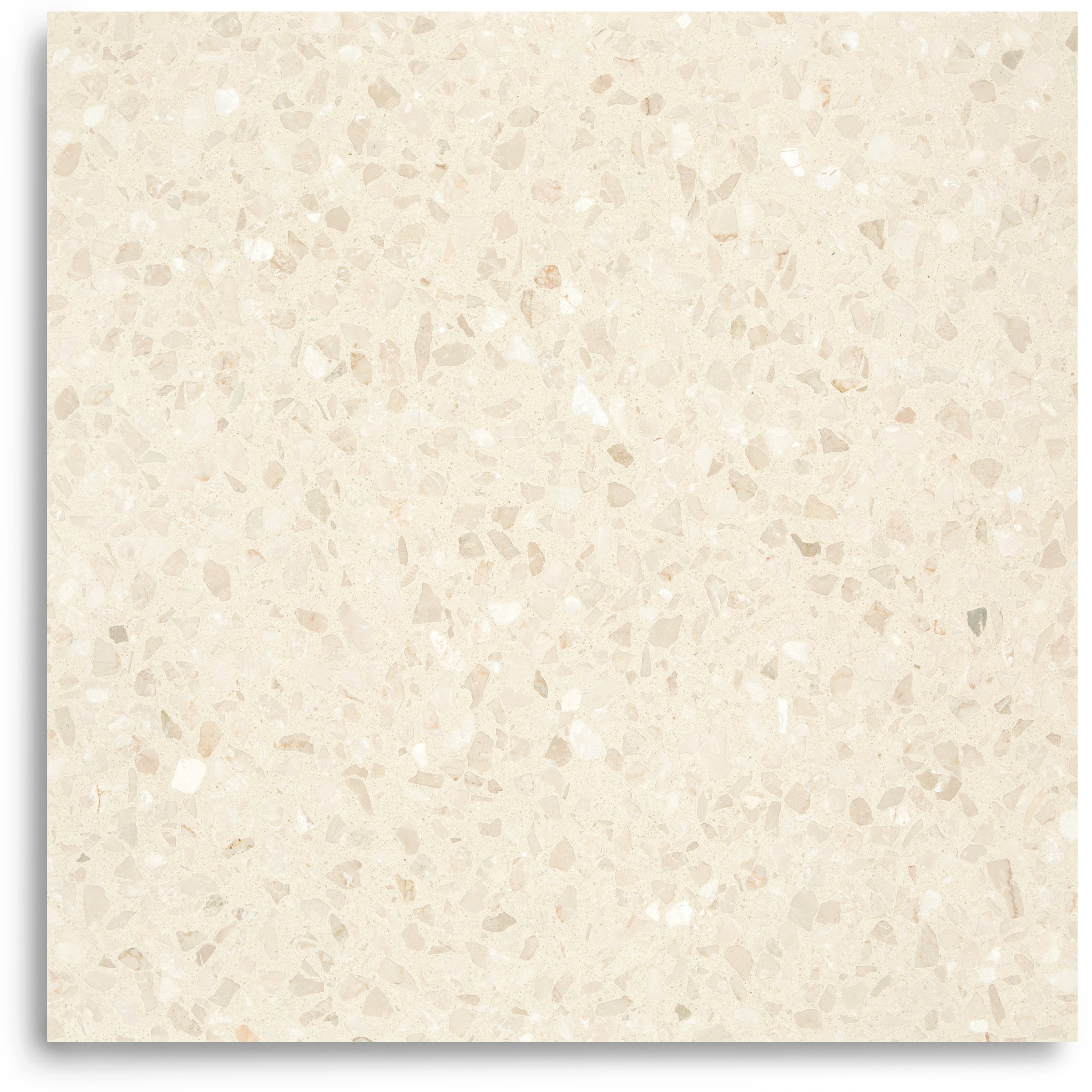 Cream terrazzo tile with subtle beige and white aggregate chips