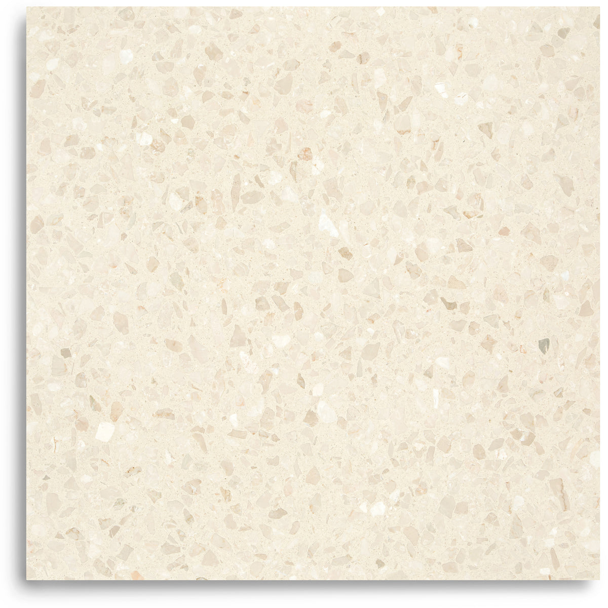 Modern Classic Honed Italian Terrazzo Tile in warm cream with fine ivory and blush marble chips