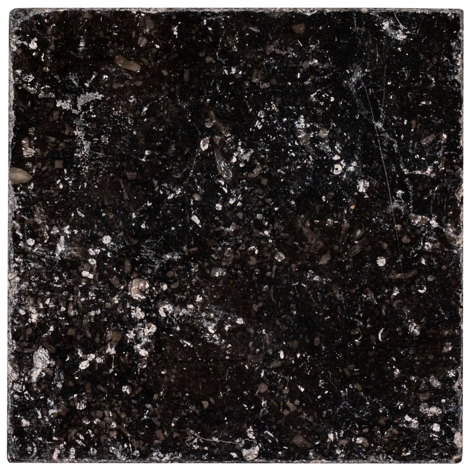 Belgian Blue 4x4 Tumbled Stone Tile Sample showcasing dark textured stone from SAMPLES ONLY collection by Reno Source