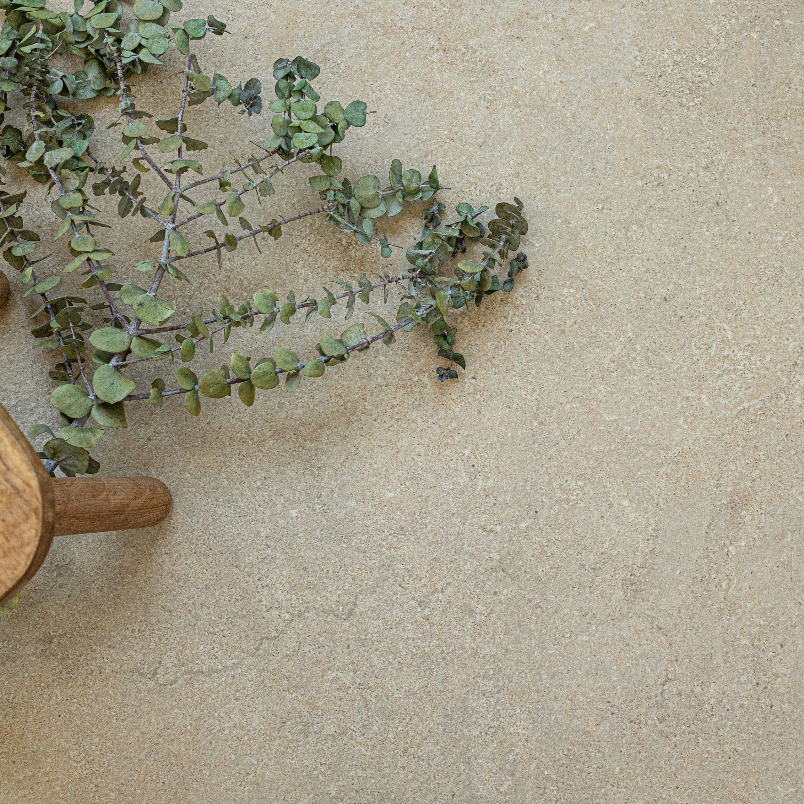Top-down view of light beige stone-look porcelain tile with textured surface and a wooden chair leg beside eucalyptus sprigs
