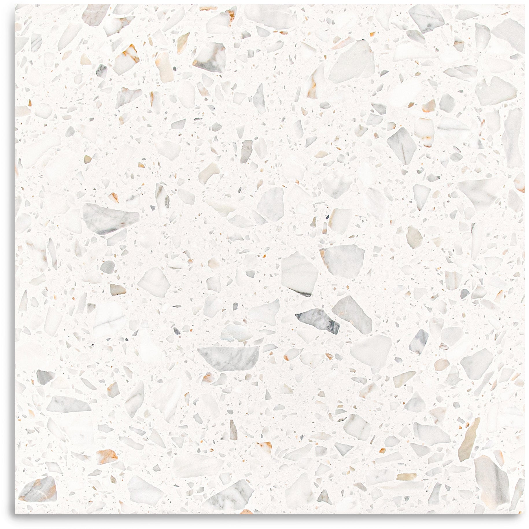 Calacatta Honed 24"x24" Terrazzo Tile
