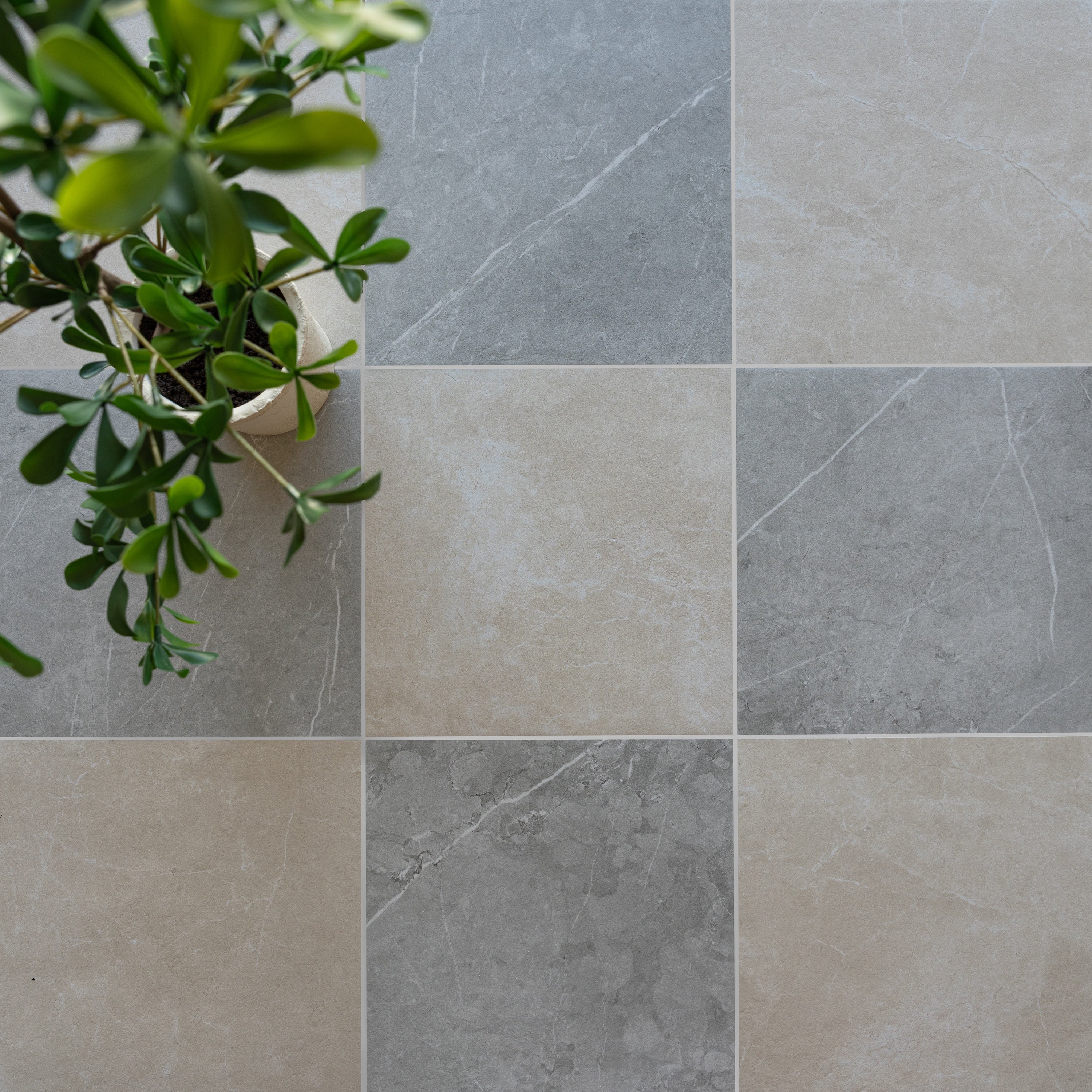 Square ceramic tiles in alternating light and dark gray tones with subtle veining beside a green leafy plant