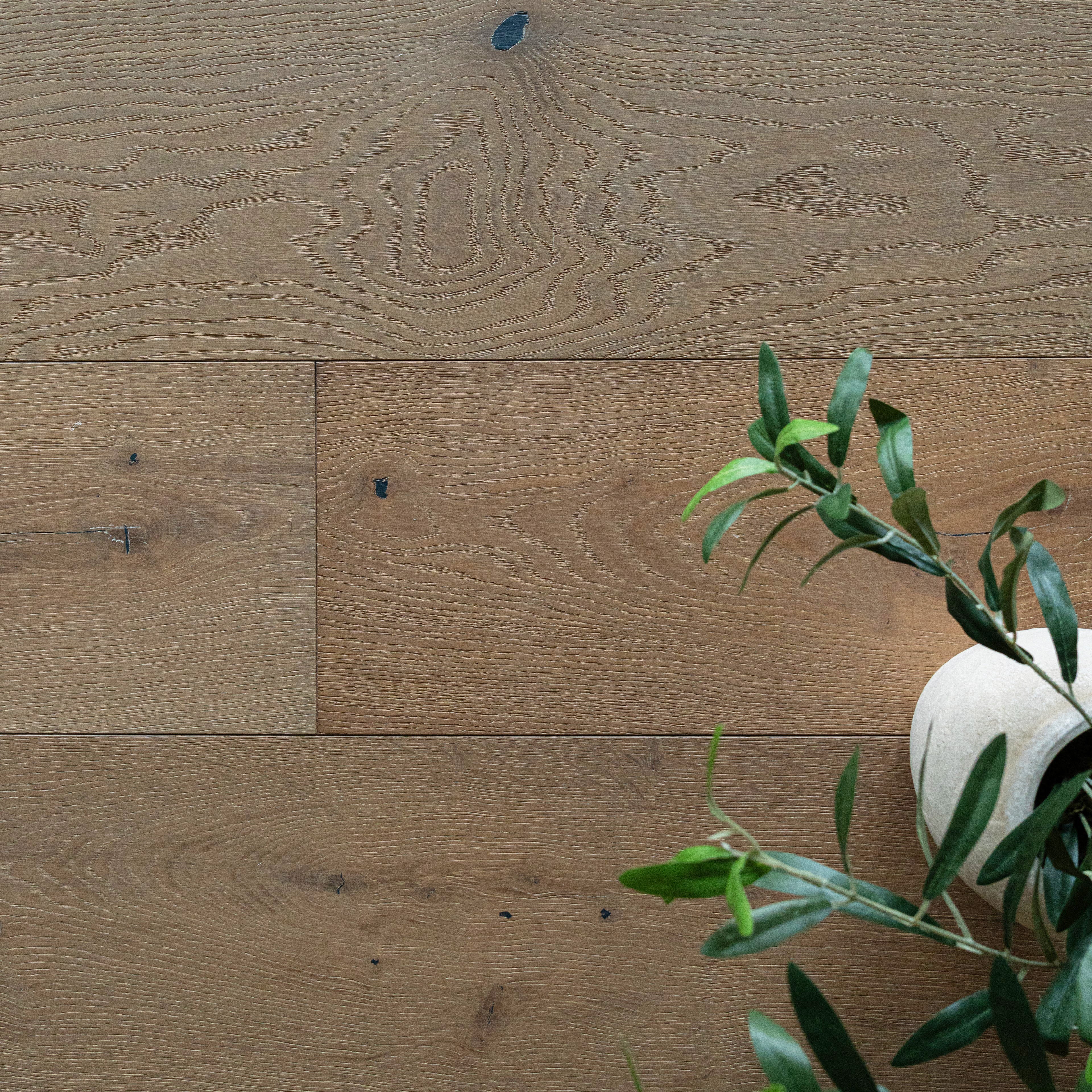 Close-up of warm oak wood flooring with visible grain patterns and a green leafy plant partially in frame