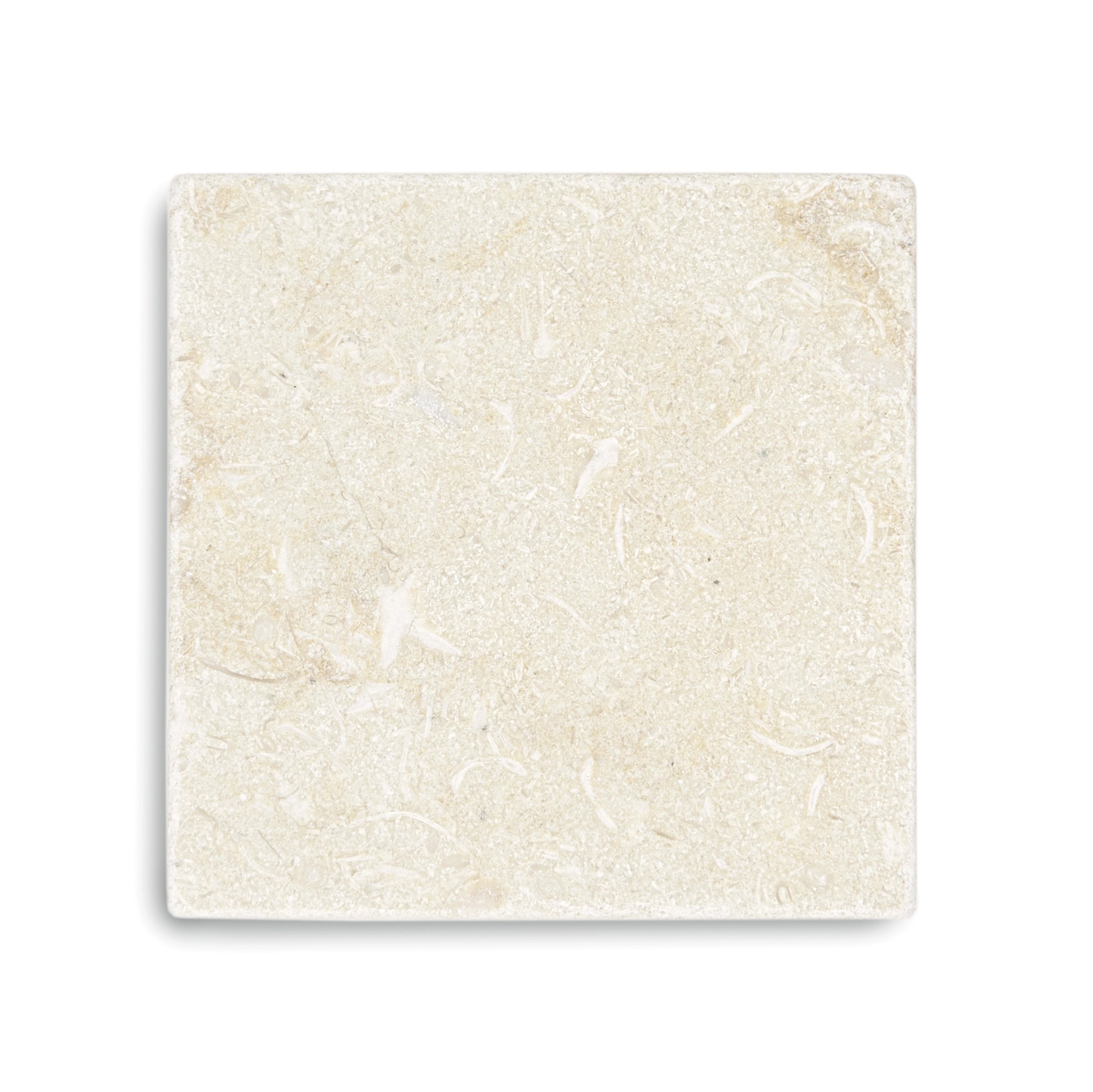 Square cream-colored stone tile with a tumbled finish and subtle fossilized texture on a clean white background