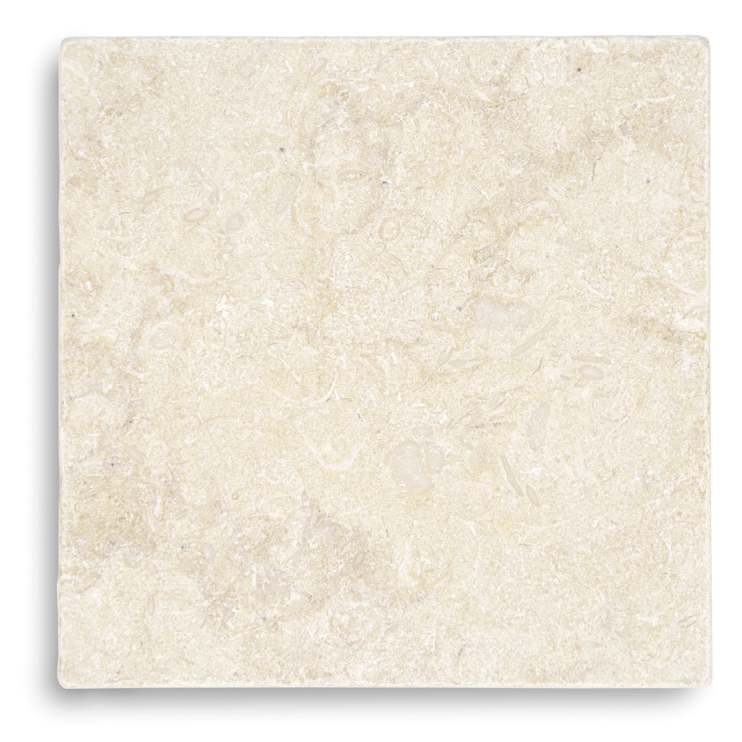 Square cream-colored stone tile with subtle natural texture and soft fossilized patterns throughout the surface