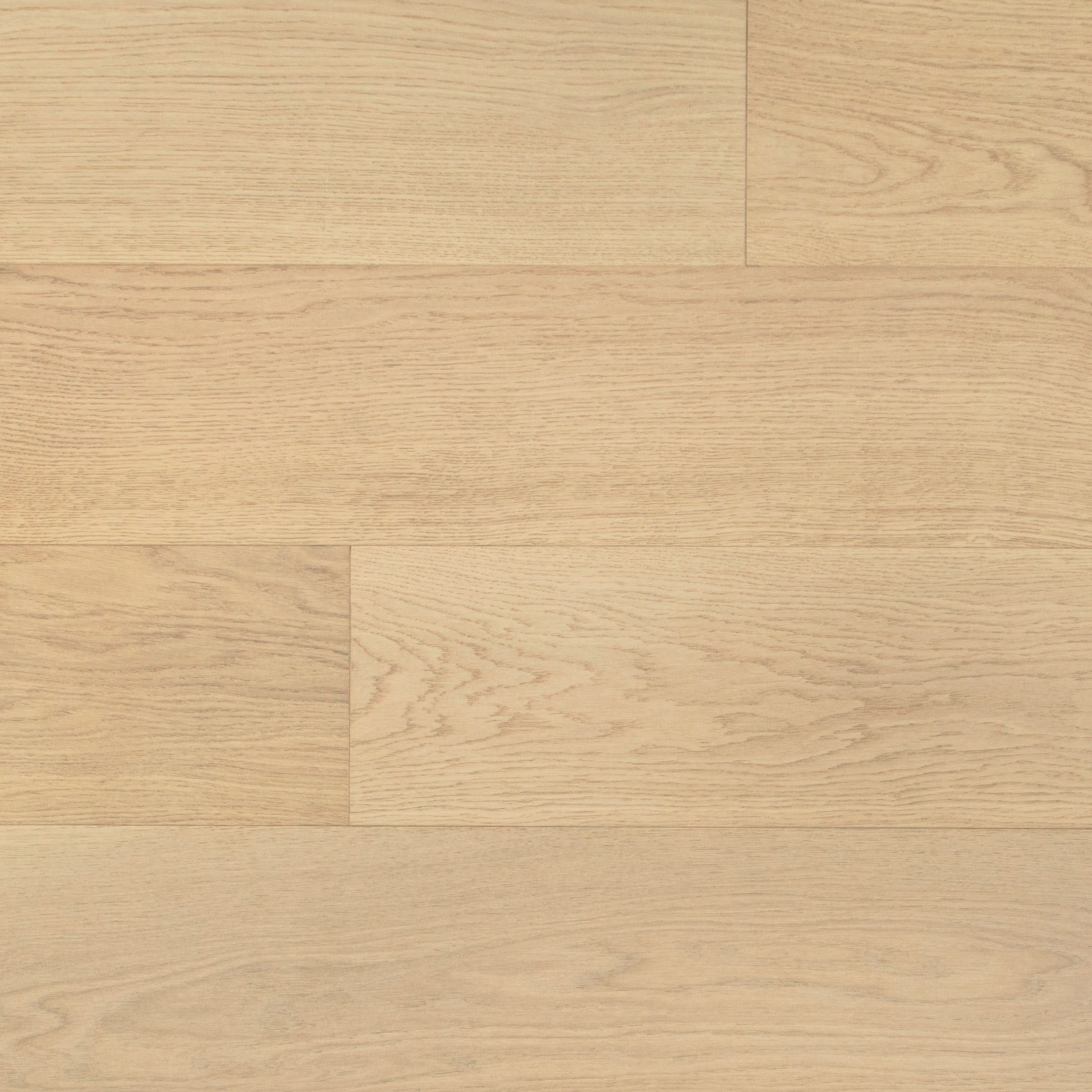 No. 2 Engineered Wood Flooring in beige European white oak with matte wire brush finish from Engineered Hardwood Flooring (& trims) collection