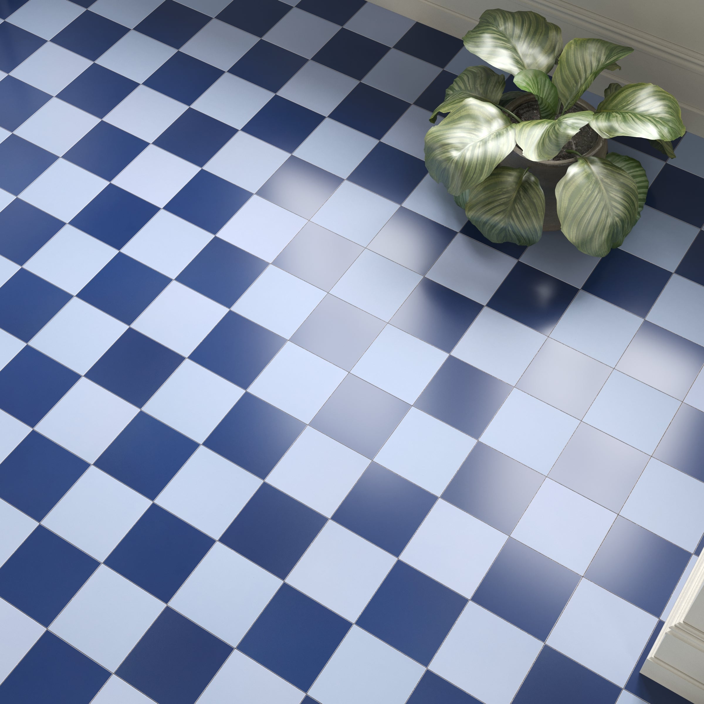 Glossy porcelain tile flooring in a blue and white checkerboard pattern with a leafy green plant in a corner