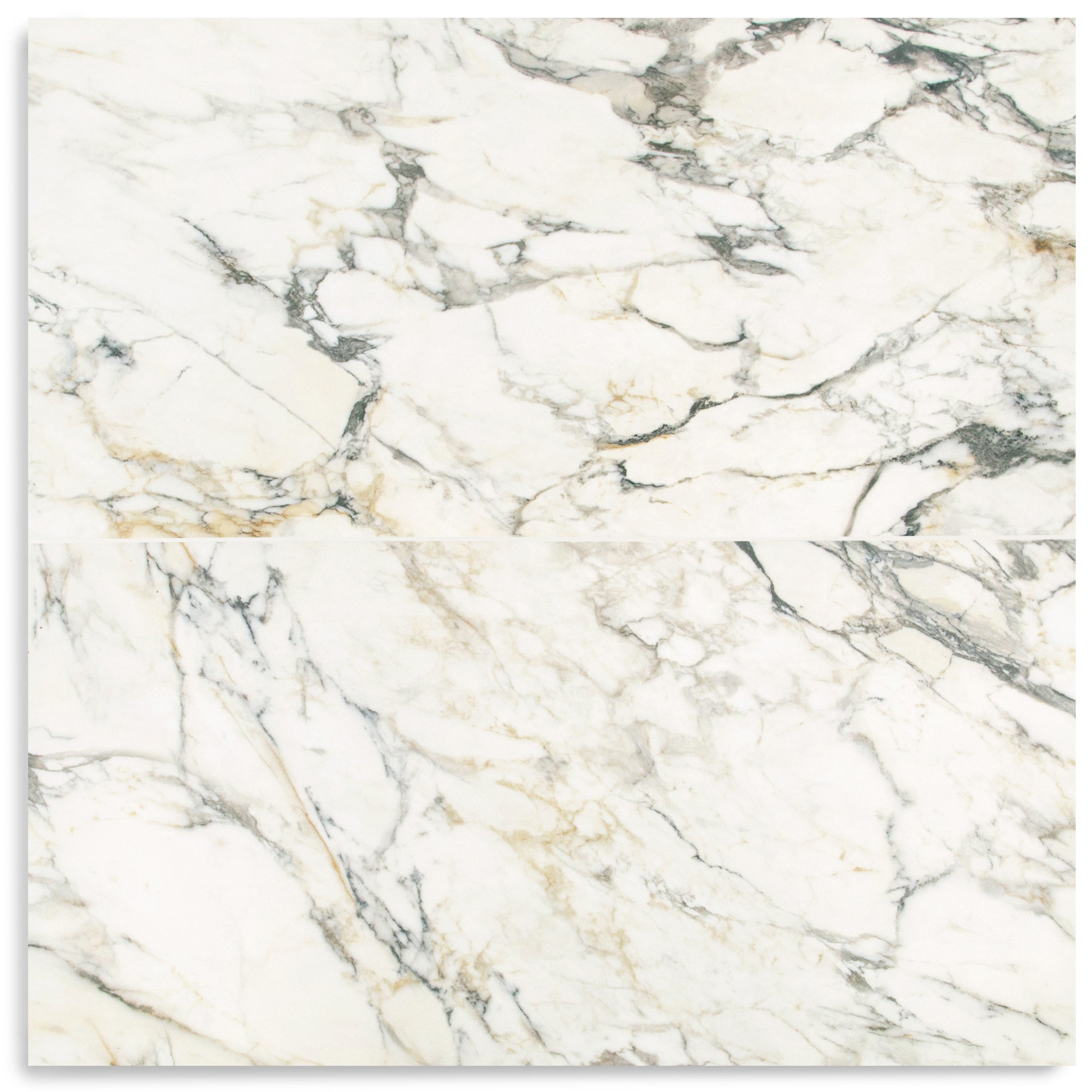 Paonazzo Matte Marble Look Porcelain Tile in white, gray, and gold tones from Marble Editions Porcelain Tile at Reno Source