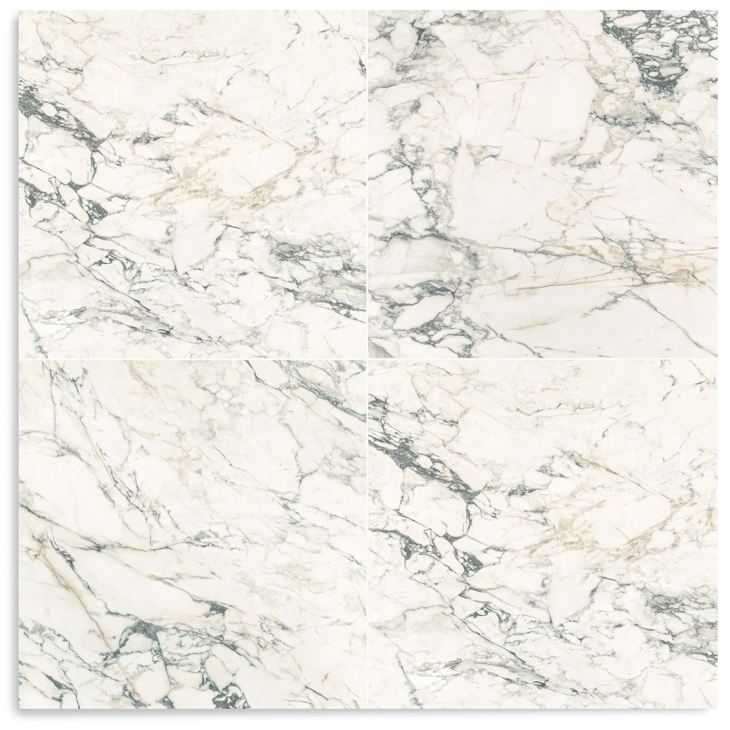 Paonazzo Matte Marble Look Porcelain Tile