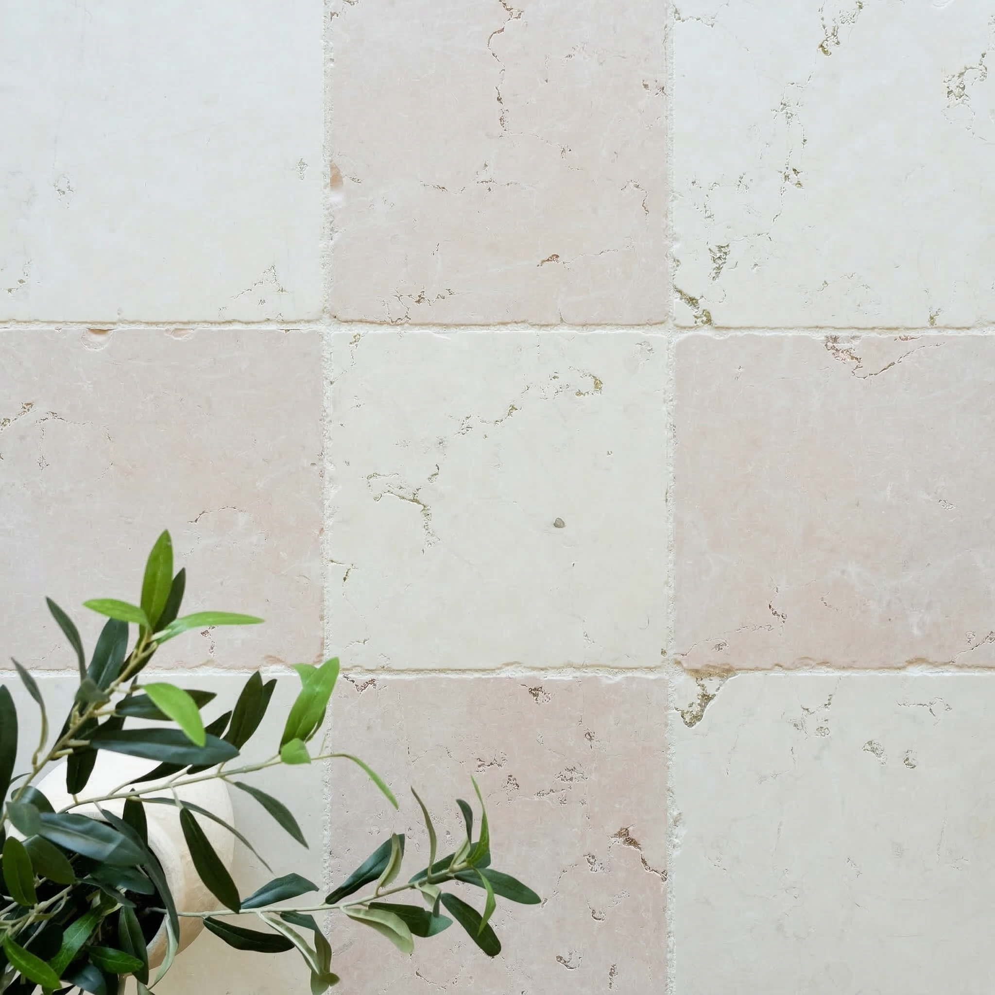 Soft cream and pale beige tumbled stone tiles in a subtle checkerboard pattern with green leafy plant in corner