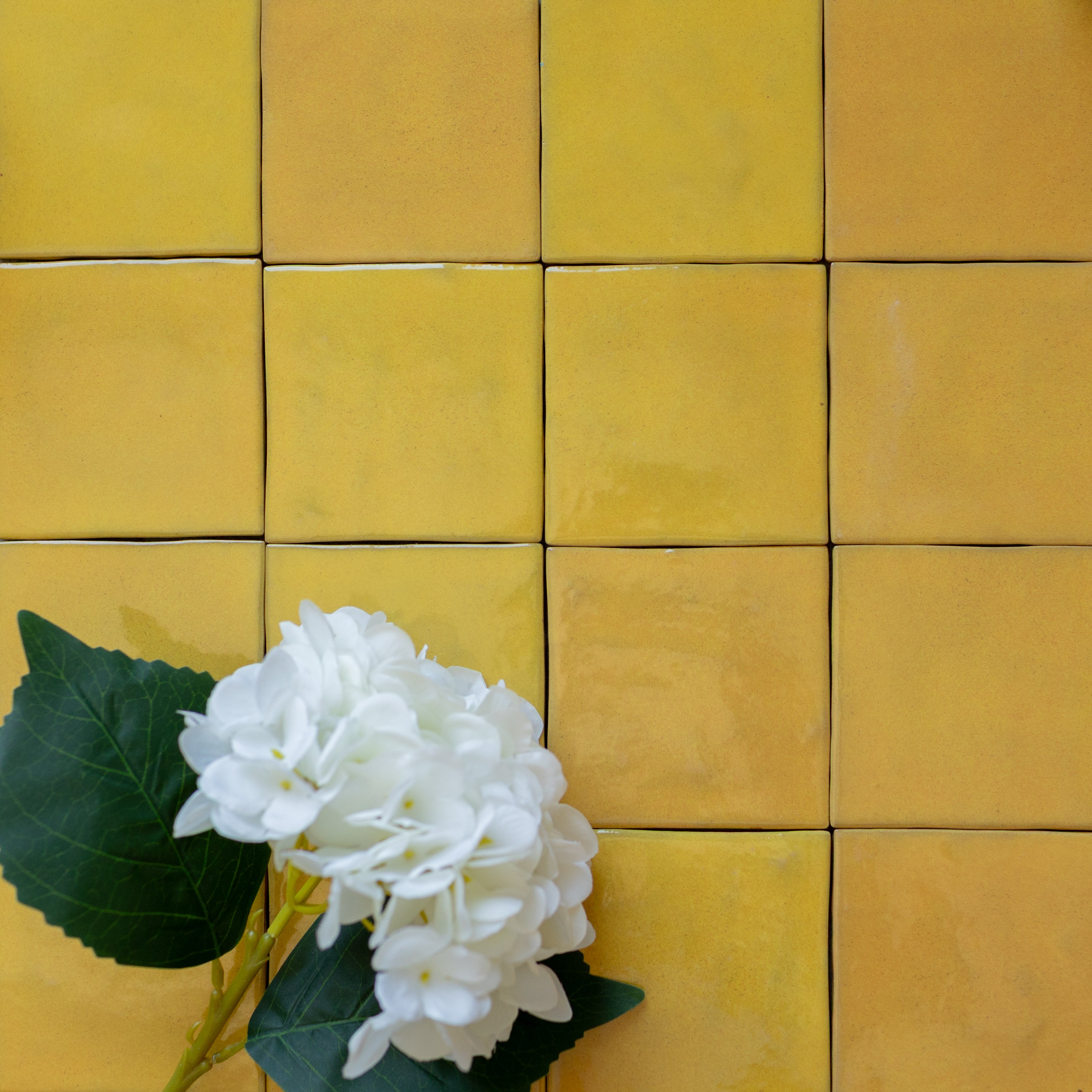Matte mustard yellow ceramic tiles with subtle variations and a white hydrangea flower with green leaves in the corner