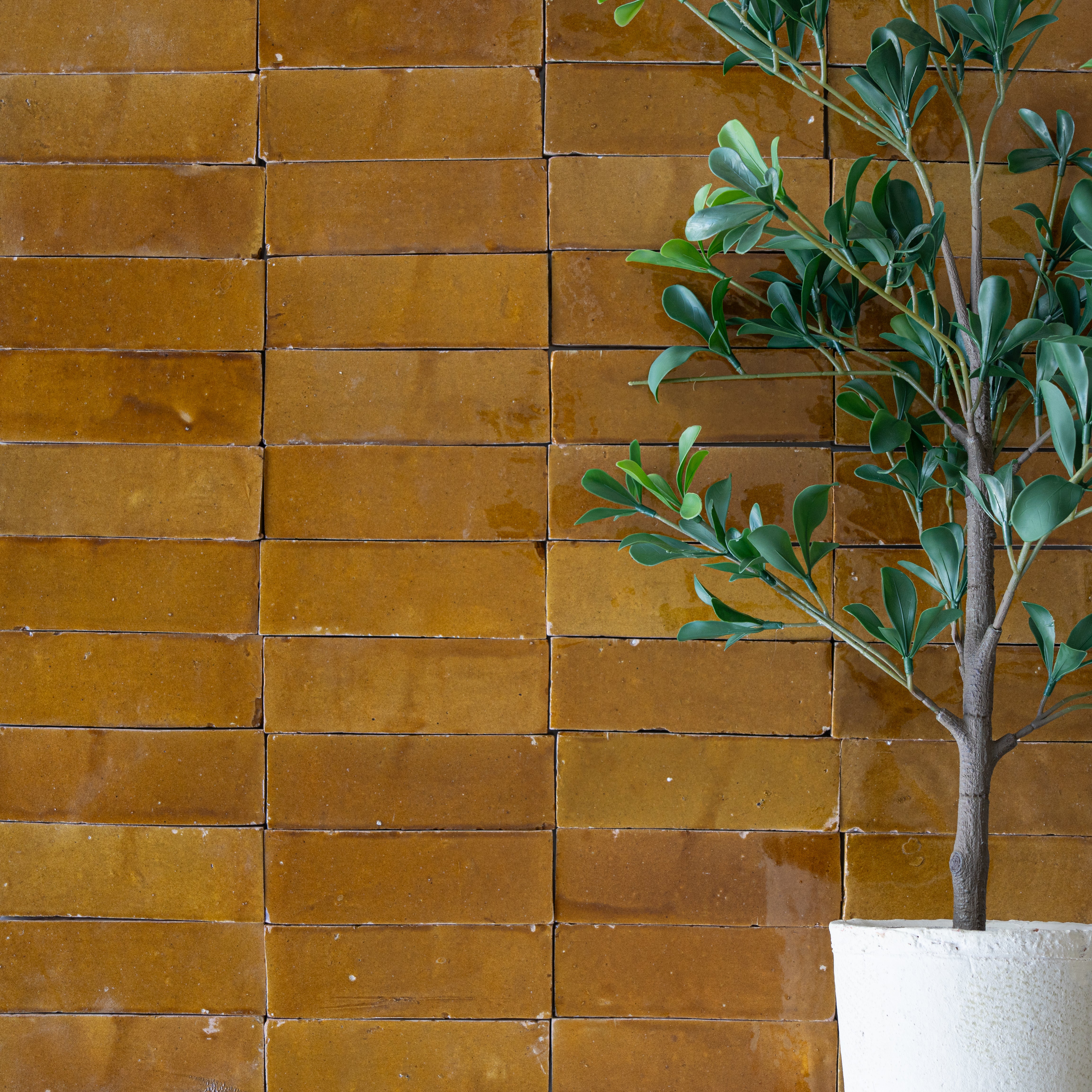 Glossy warm amber ceramic zellige tiles arranged in a grid with a white pot holding a small leafy green plant on the side