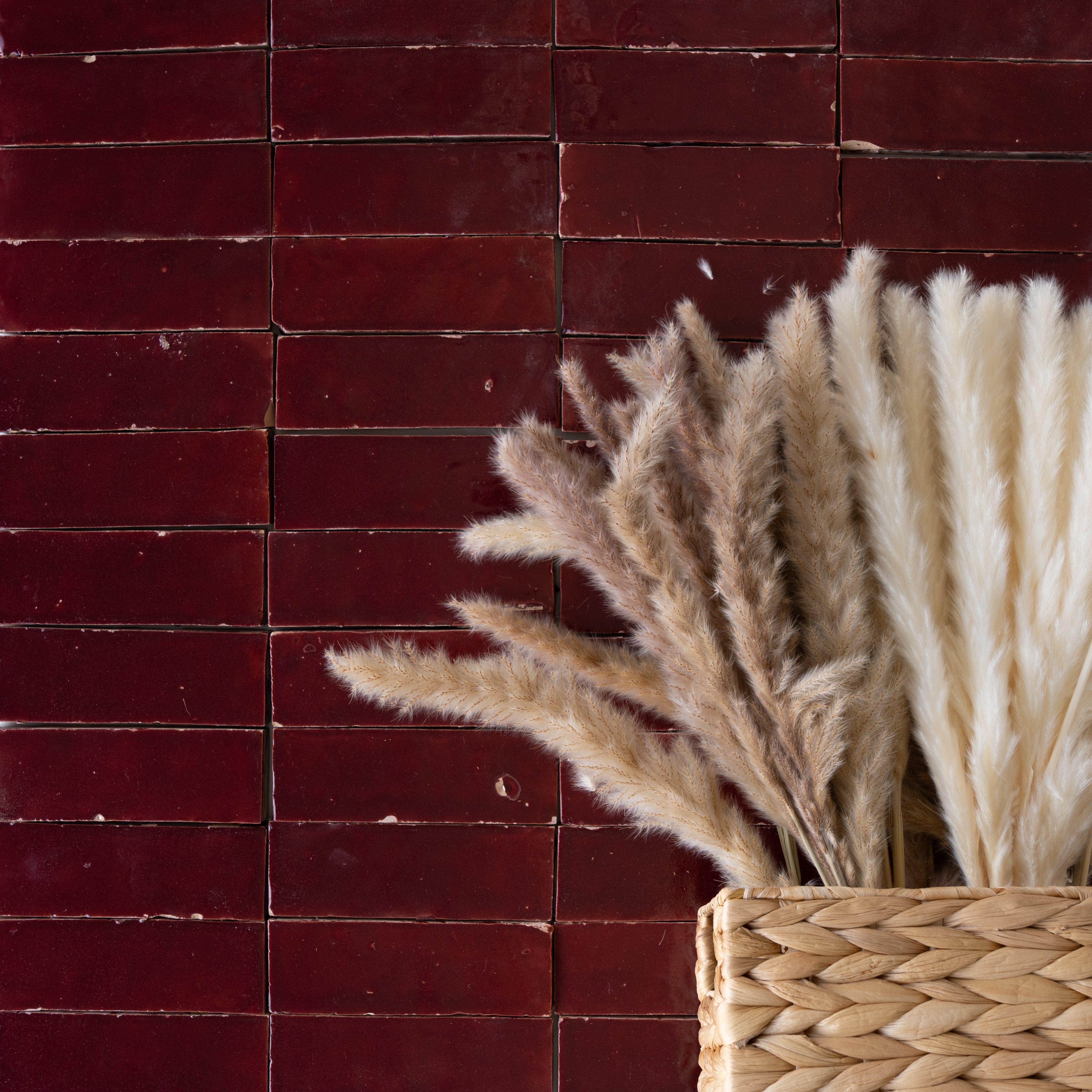 Glossy deep burgundy ceramic zellige tiles with slight texture beside a woven basket holding beige and cream pampas grass