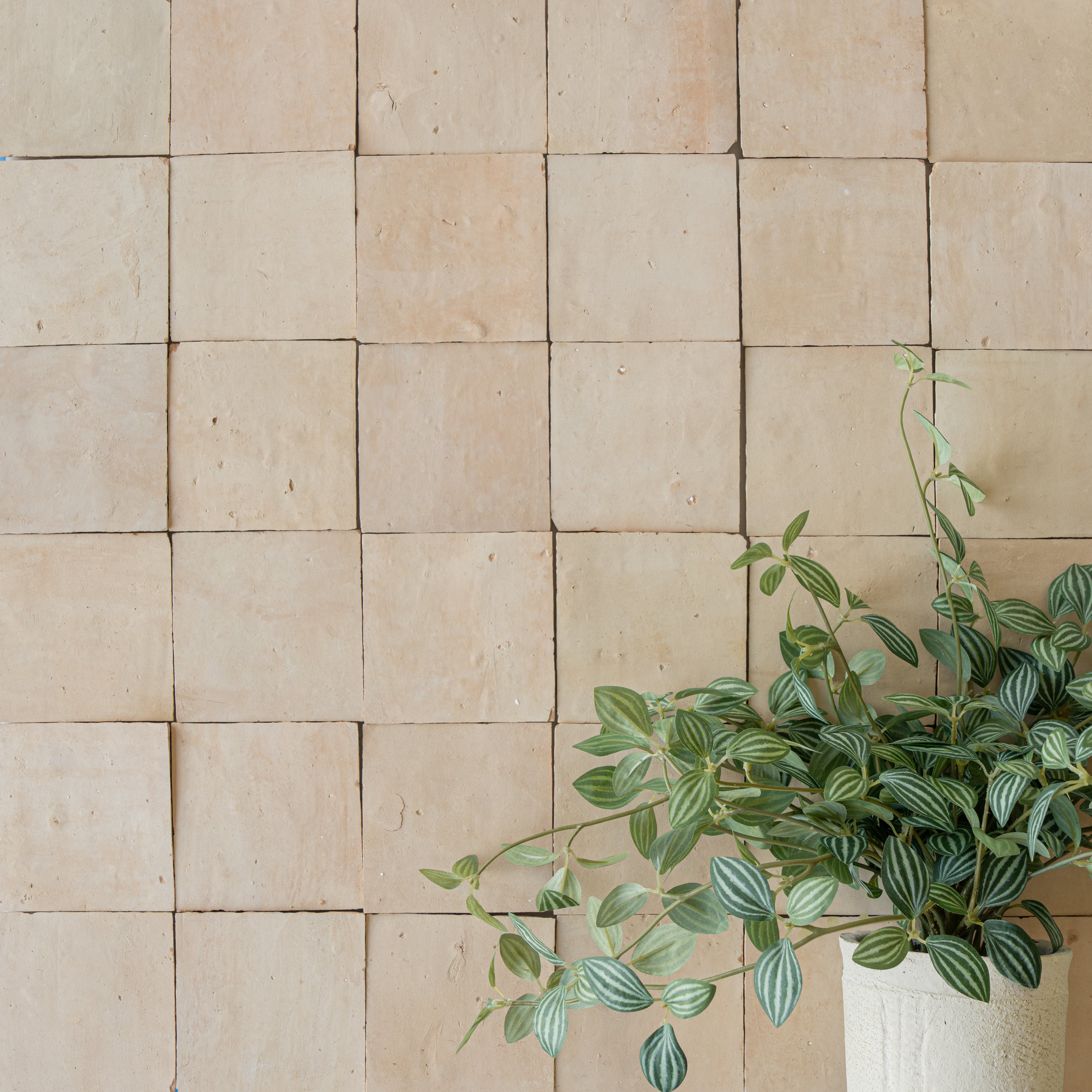 Natural beige ceramic zellige tiles arranged in a grid with a green leafy plant cascading from a white pot nearby