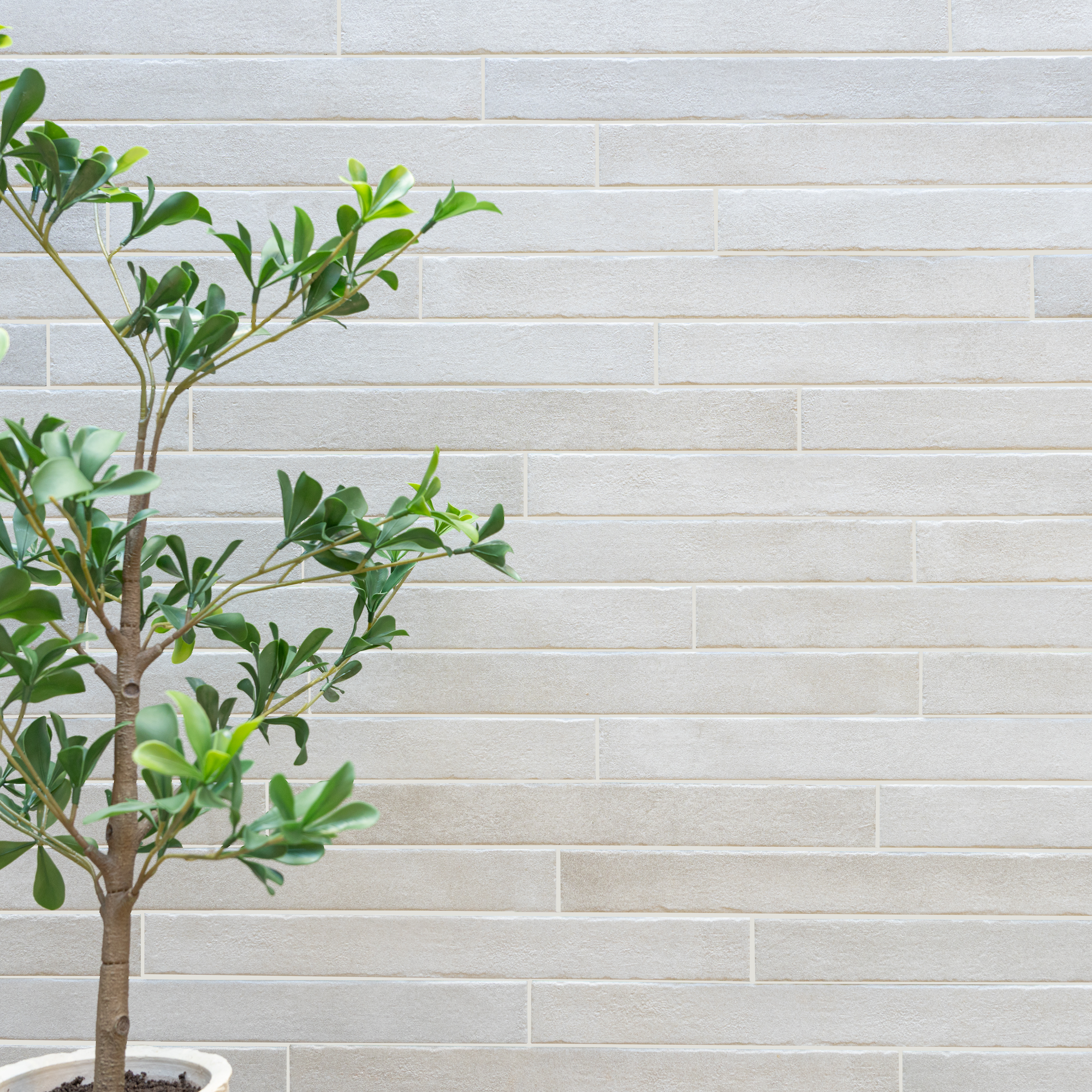 Slim rectangular light beige ceramic tiles in staggered layout beside a leafy green indoor plant in a pot