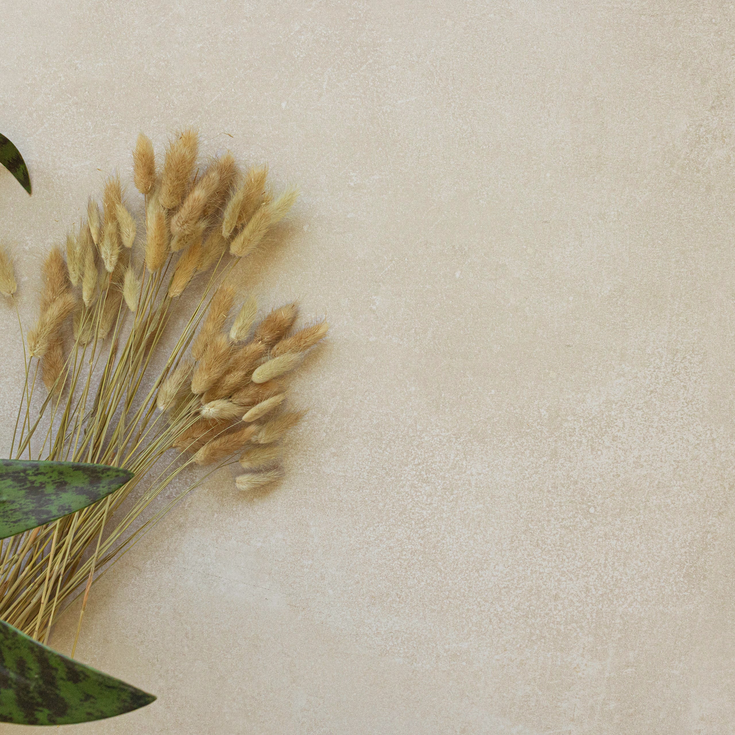 Soft beige porcelain surface with subtle texture alongside dried grasses and green foliage accents